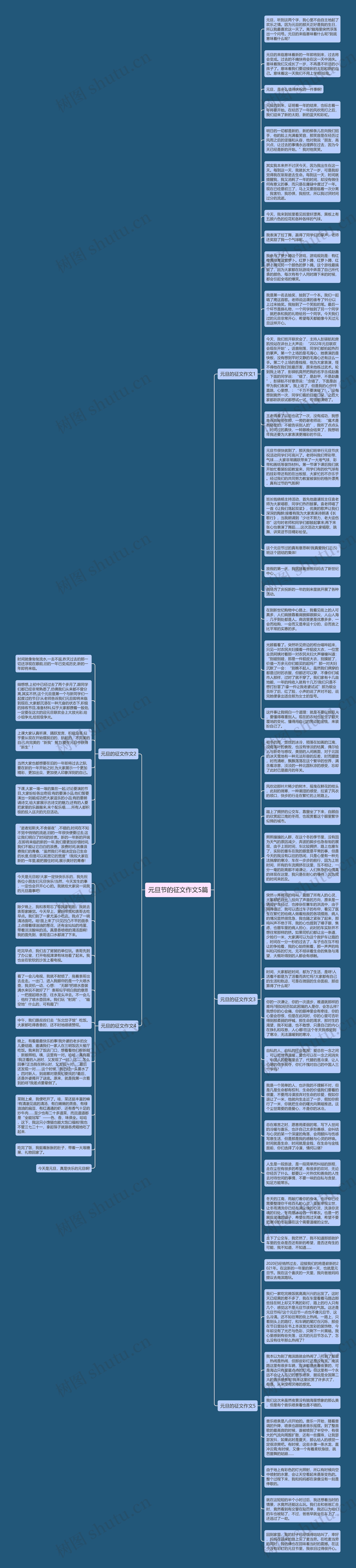 元旦节的征文作文5篇思维导图