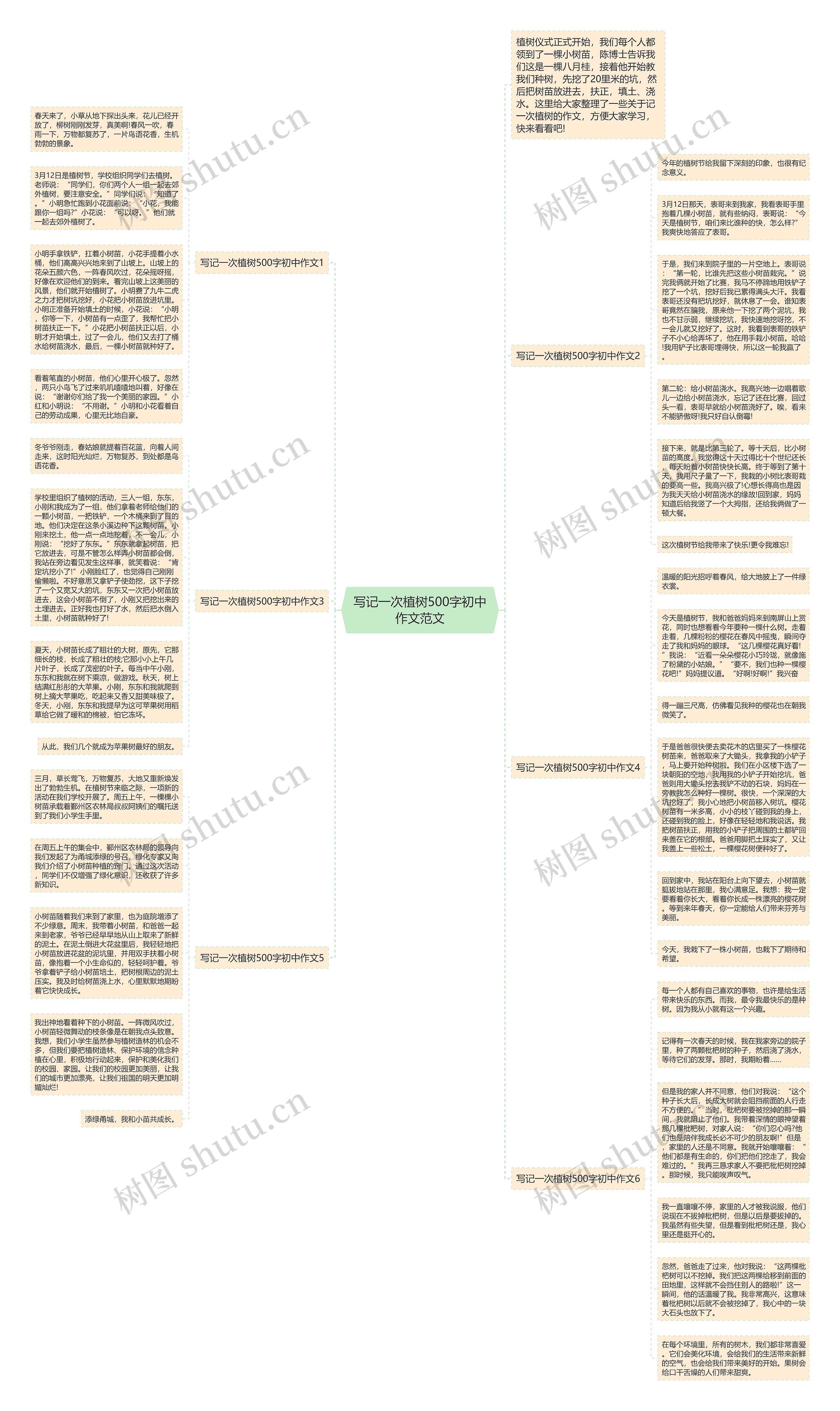 写记一次植树500字初中作文范文思维导图