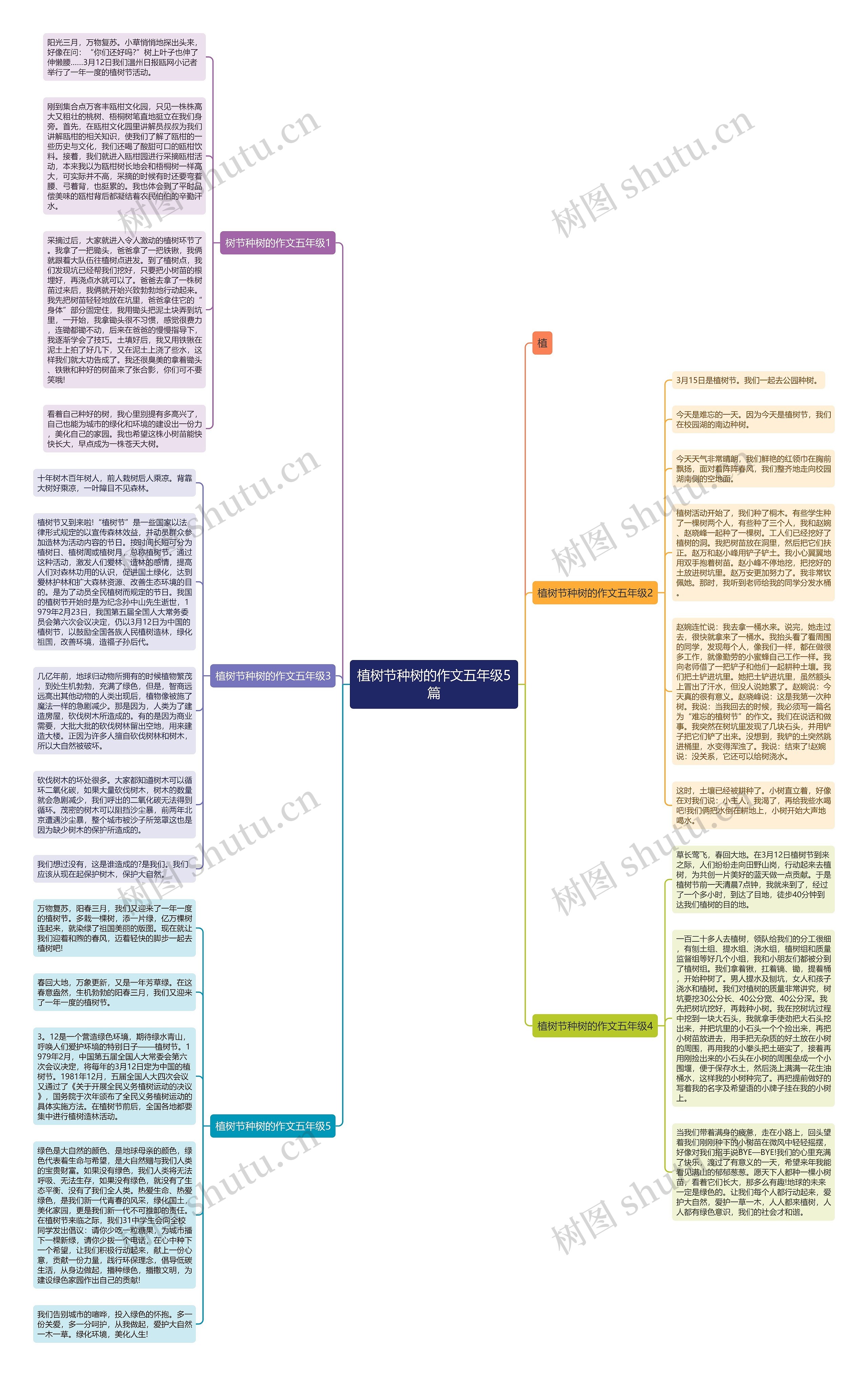 植树节种树的作文五年级5篇思维导图