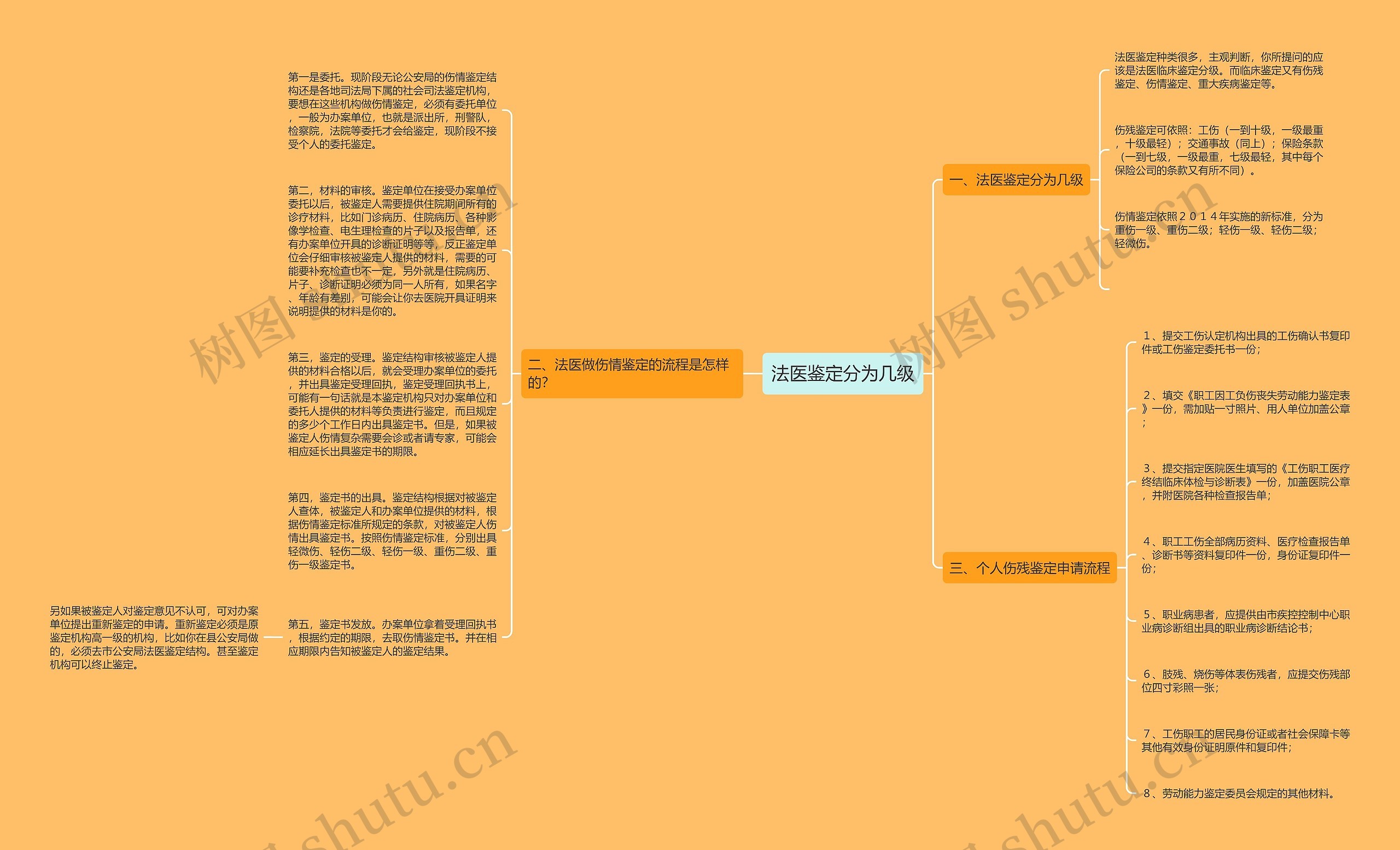 法医鉴定分为几级思维导图