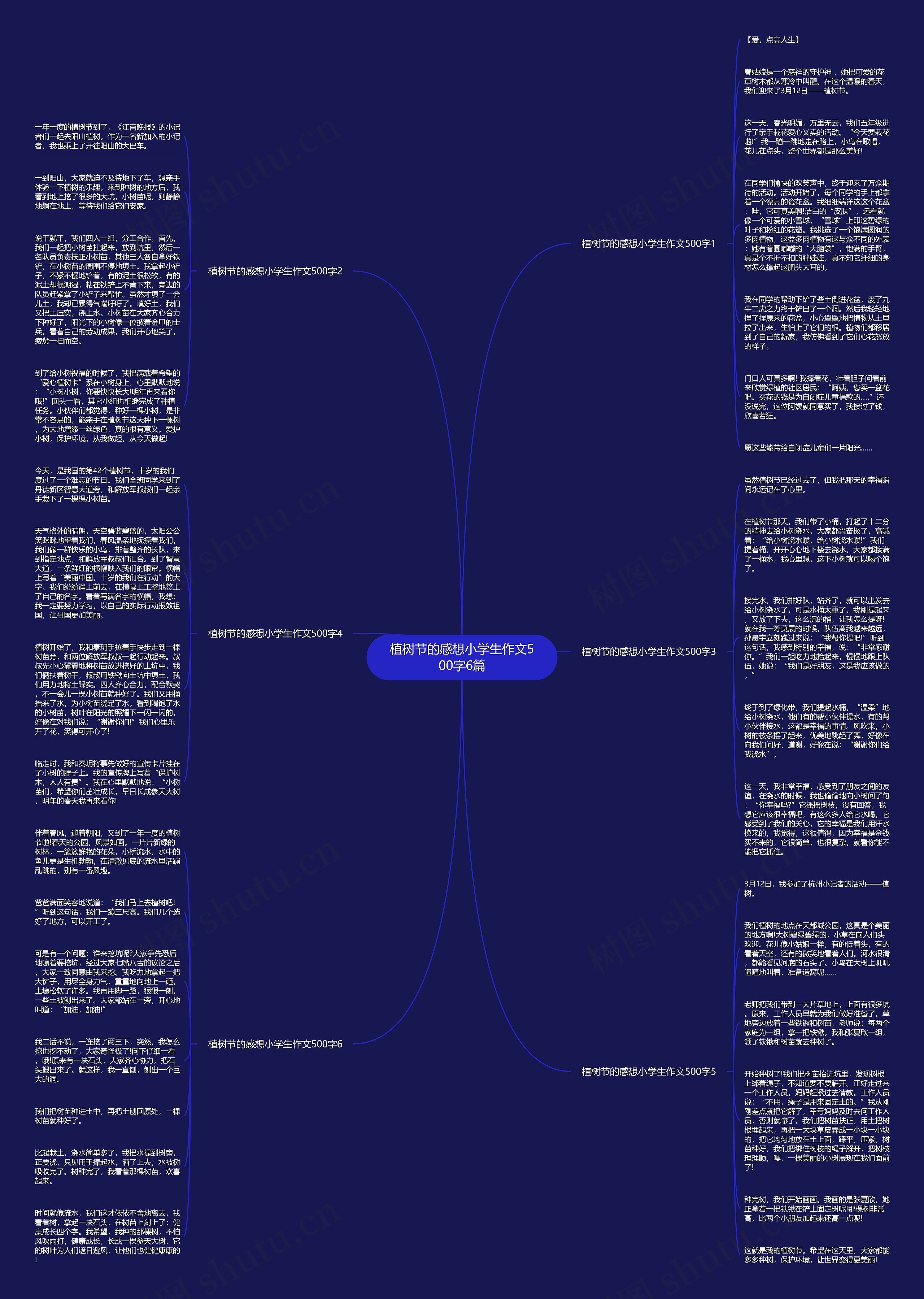 植树节的感想小学生作文500字6篇思维导图