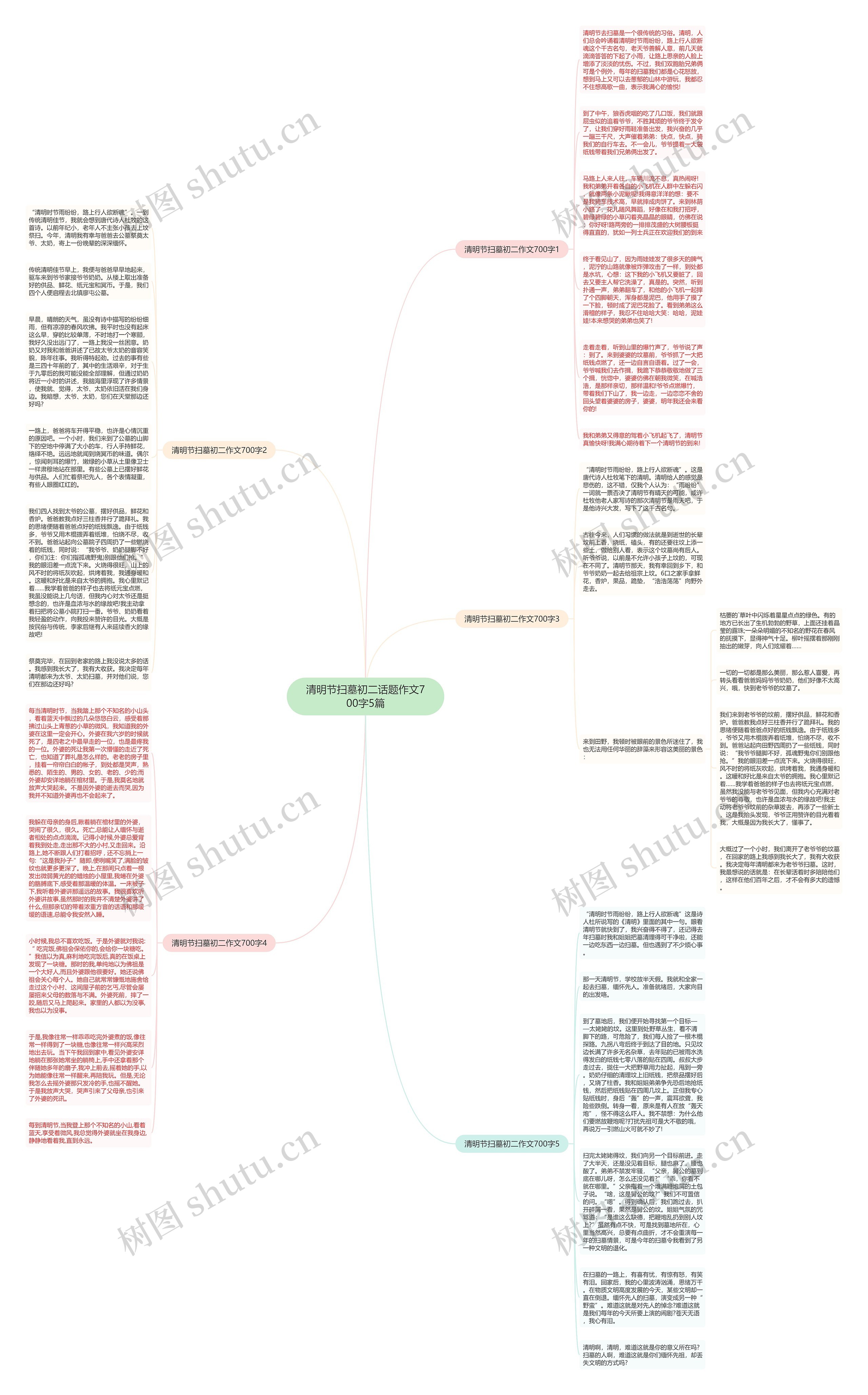 清明节扫墓初二话题作文700字5篇