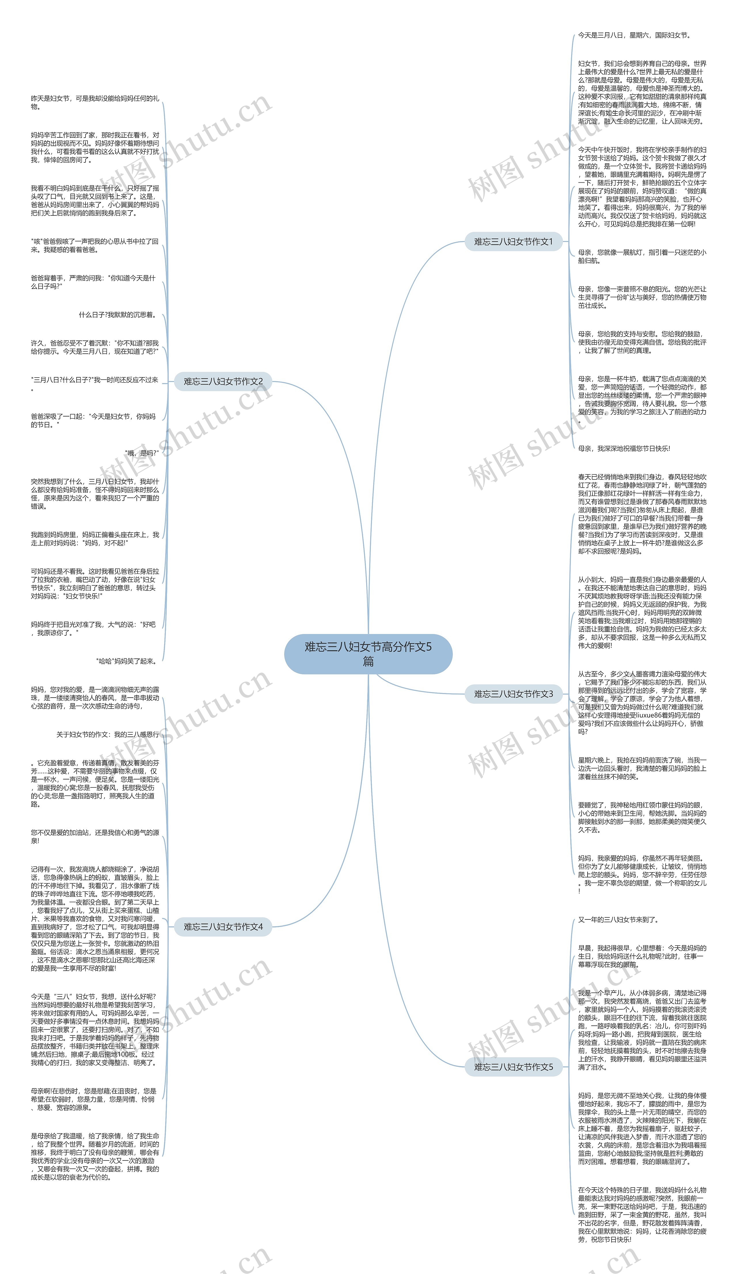 难忘三八妇女节高分作文5篇思维导图