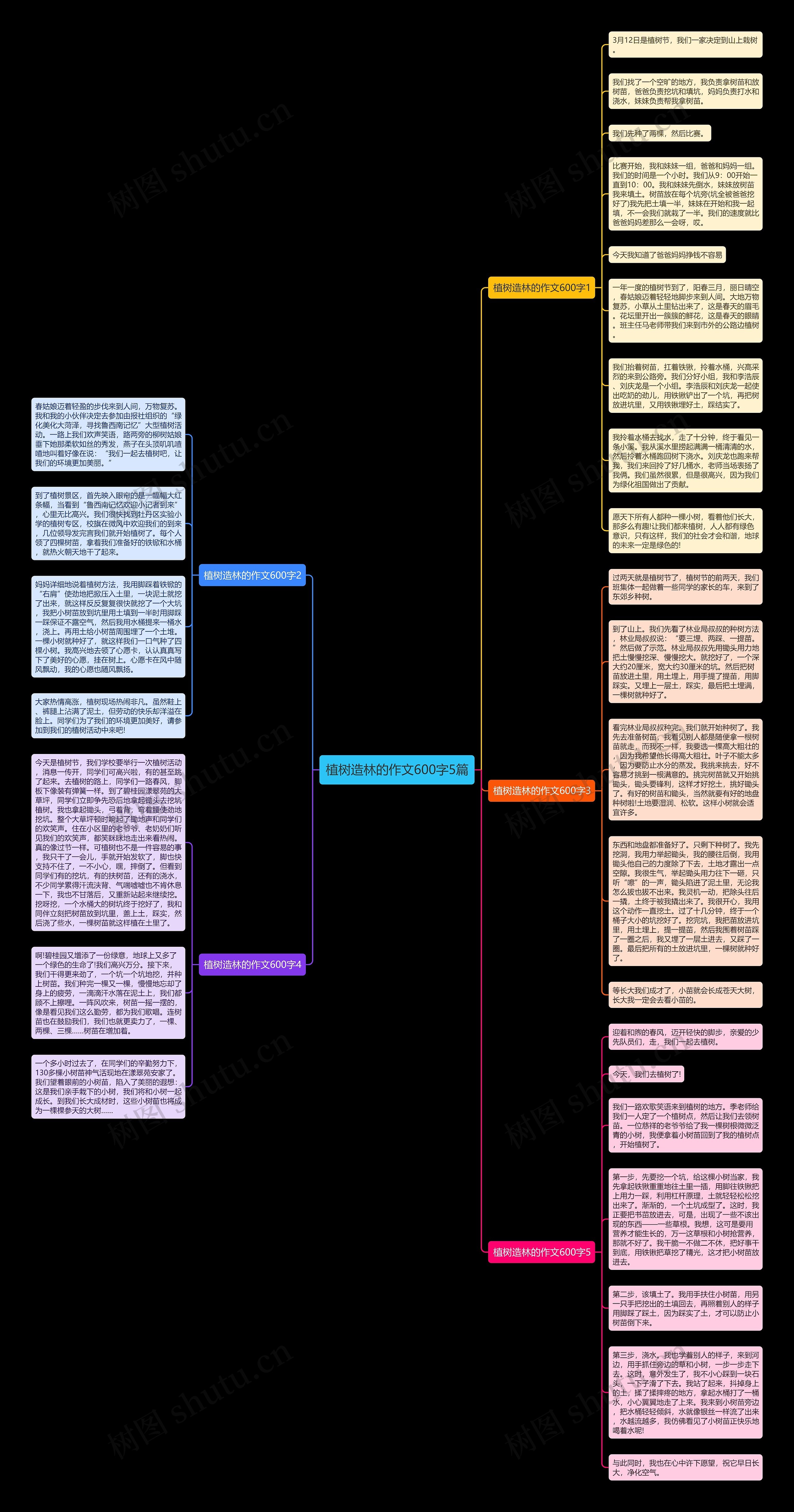 植树造林的作文600字5篇思维导图