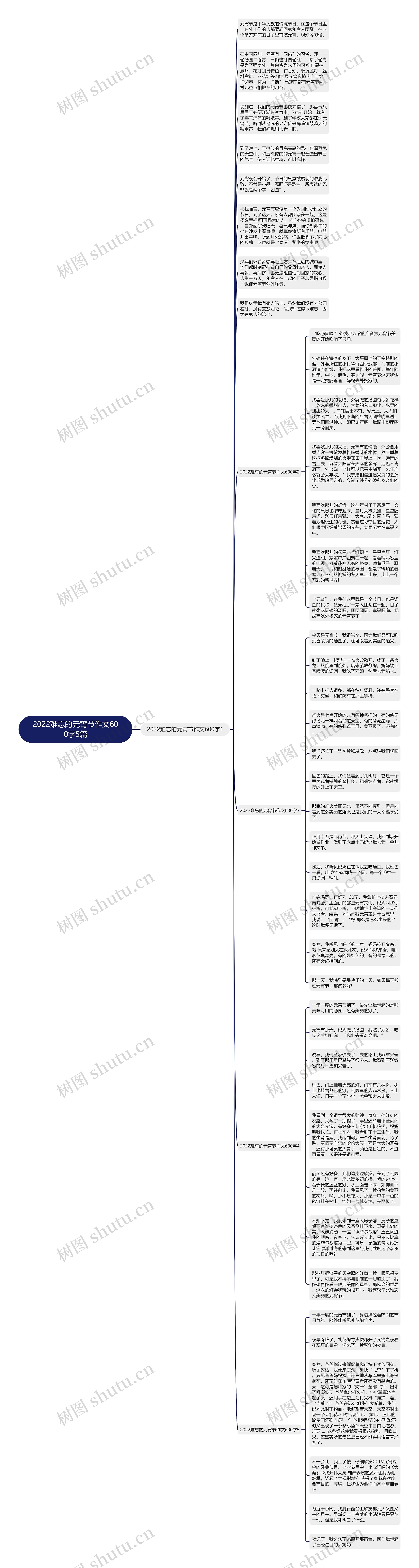 2022难忘的元宵节作文600字5篇