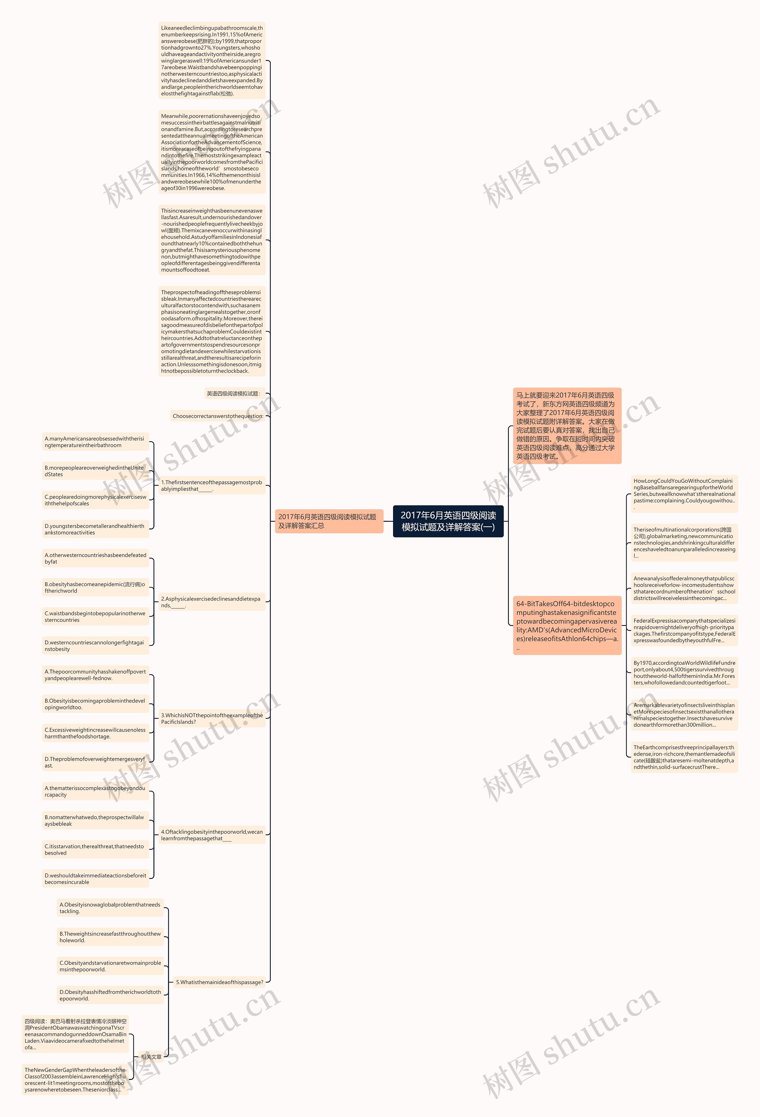 2017年6月英语四级阅读模拟试题及详解答案(一)思维导图