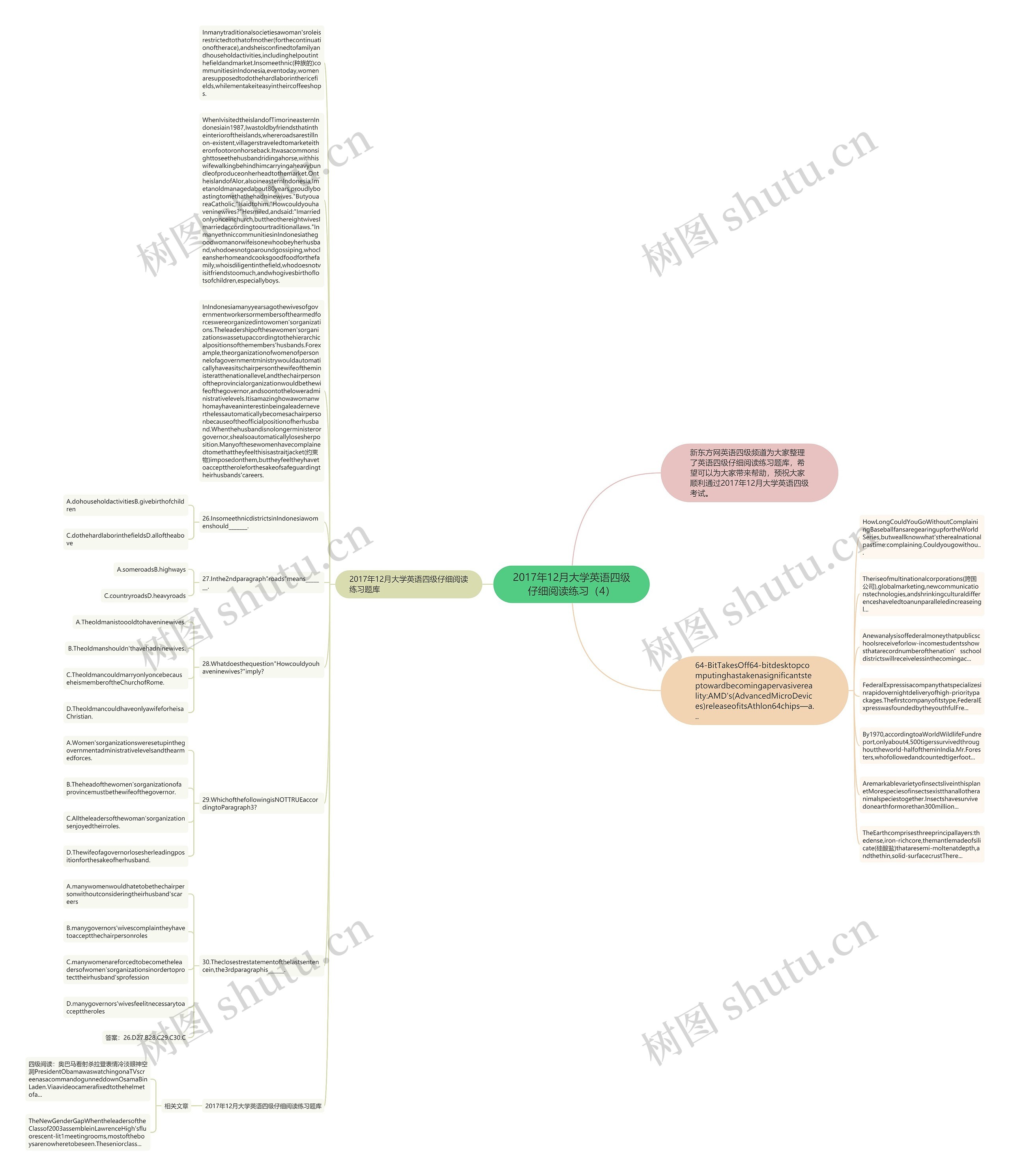 2017年12月大学英语四级仔细阅读练习（4）思维导图