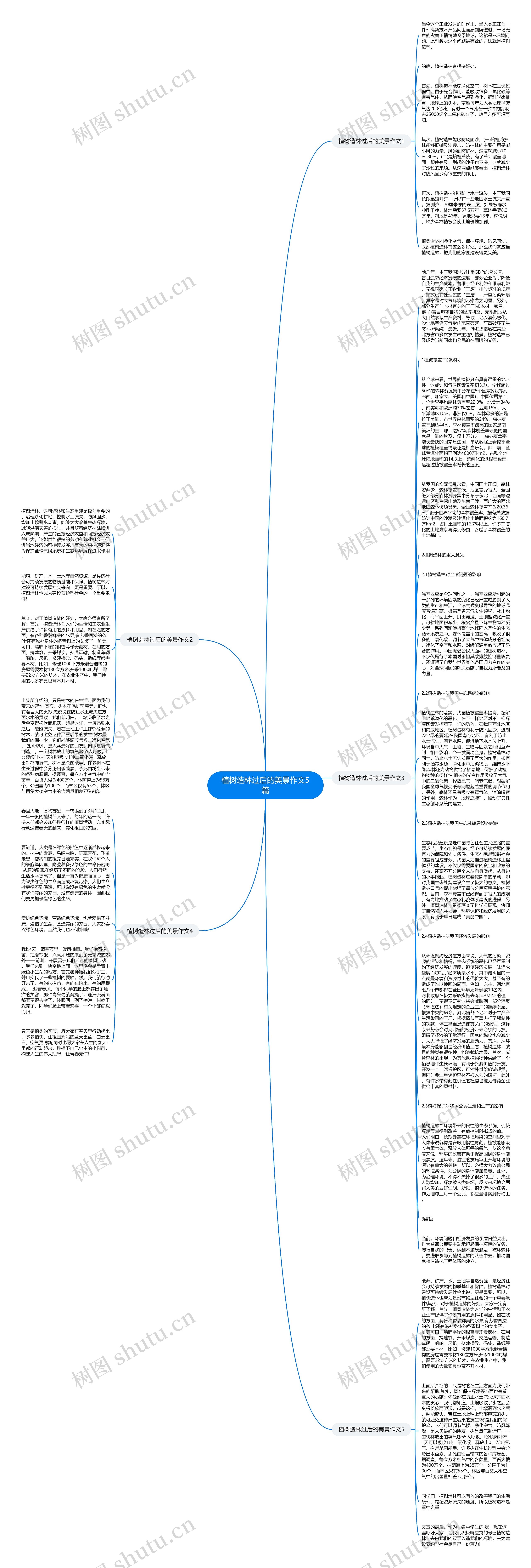 植树造林过后的美景作文5篇思维导图