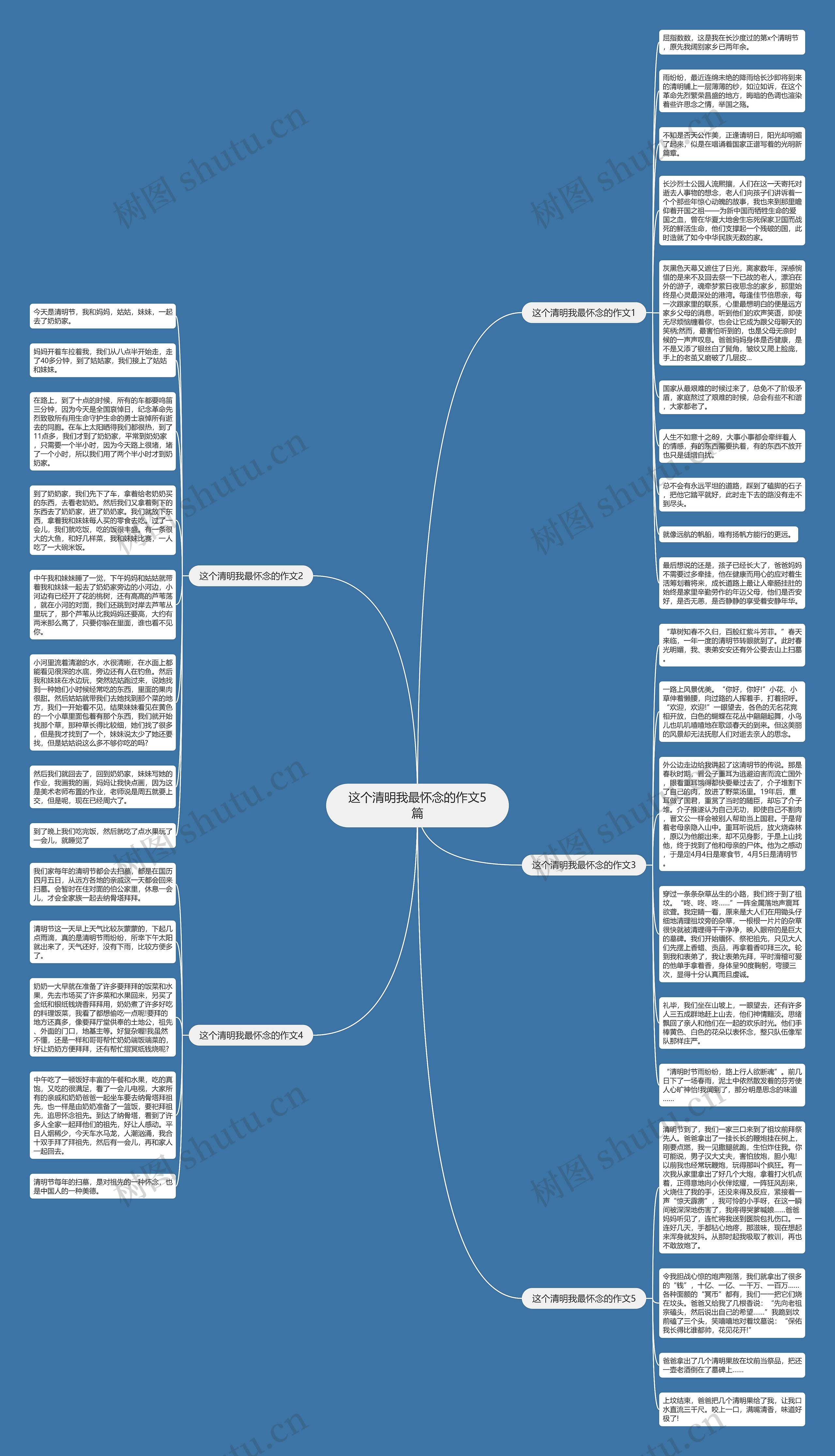 这个清明我最怀念的作文5篇思维导图