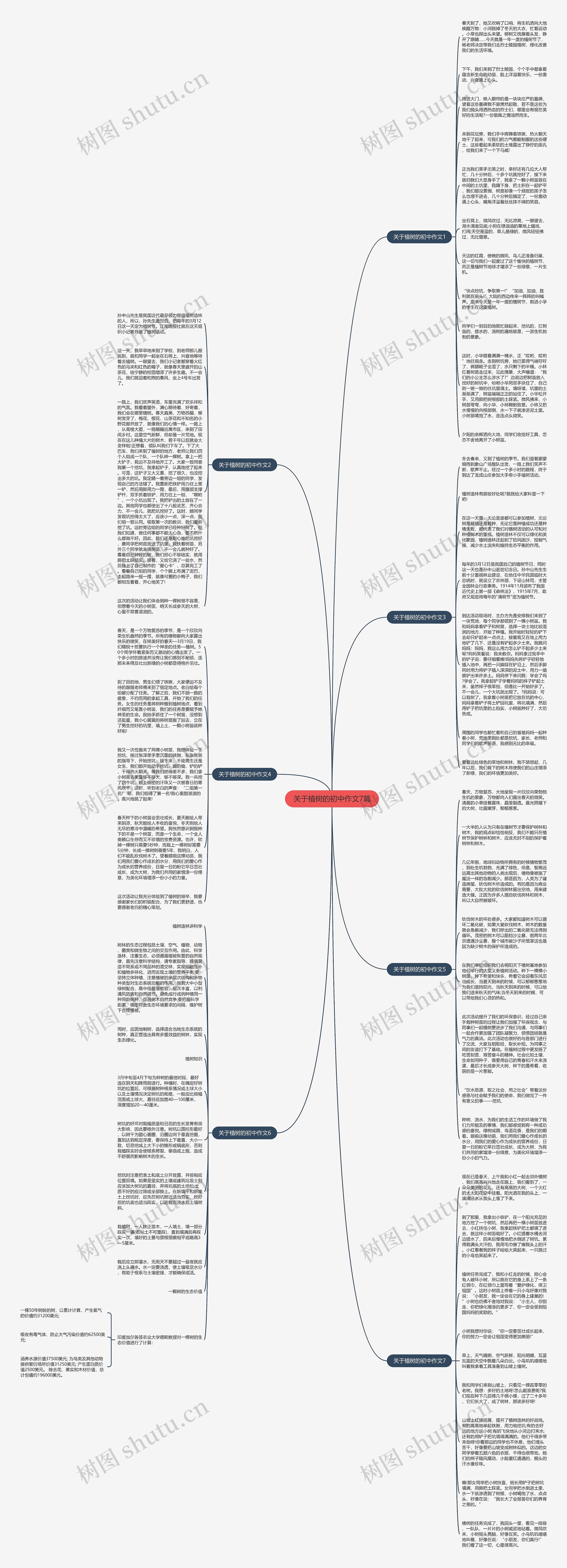 关于植树的初中作文7篇思维导图