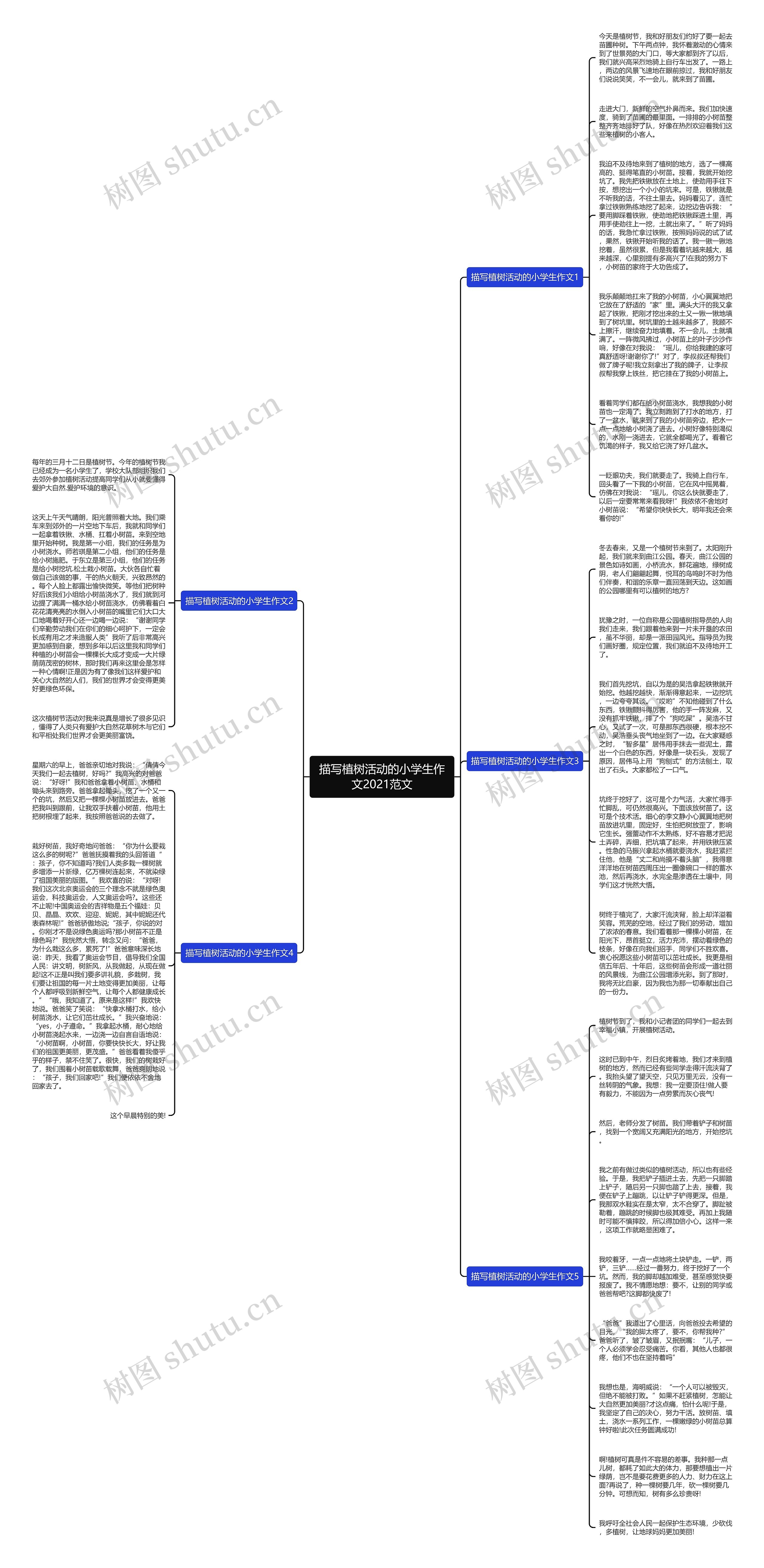 描写植树活动的小学生作文2021范文思维导图