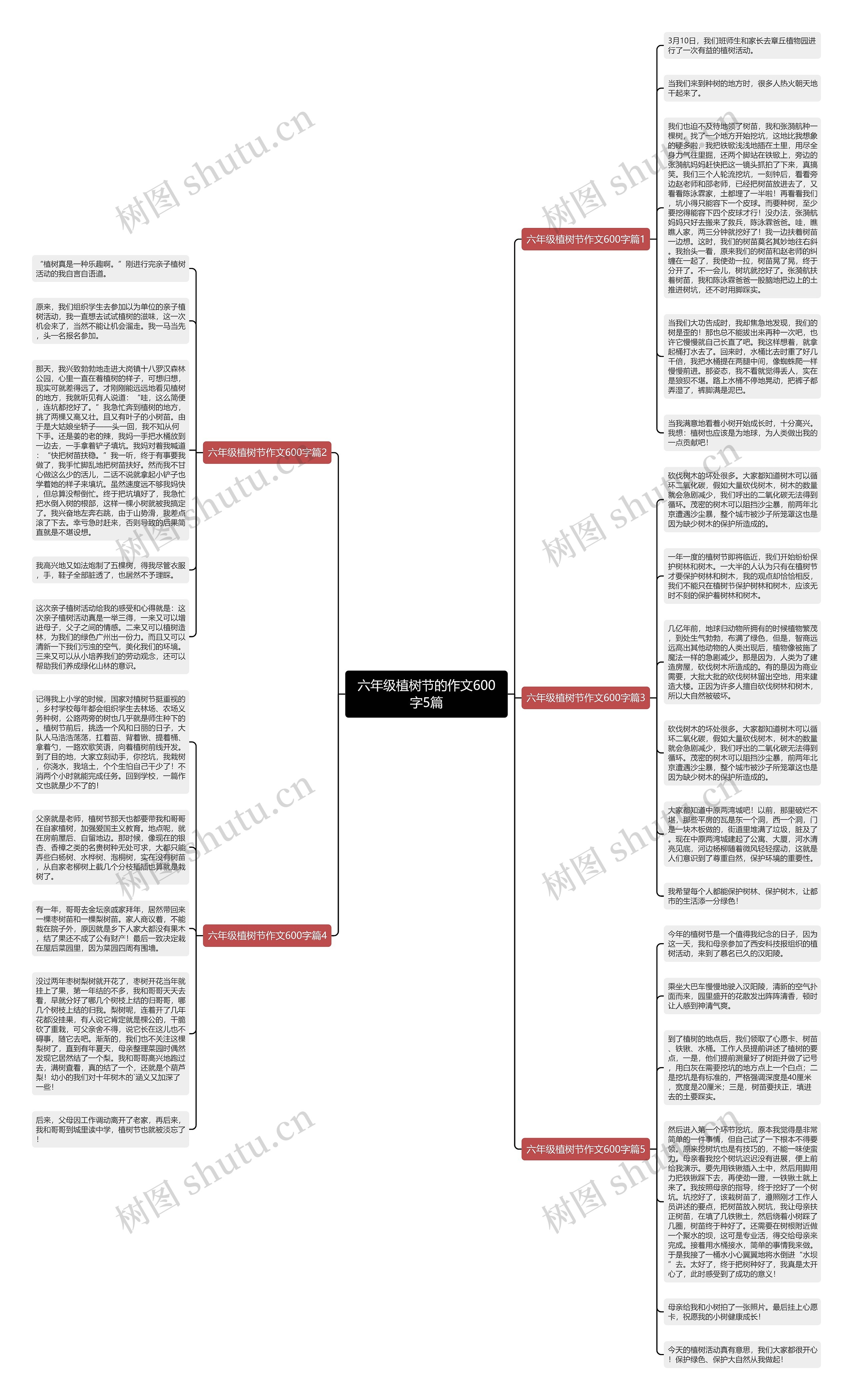 六年级植树节的作文600字5篇思维导图