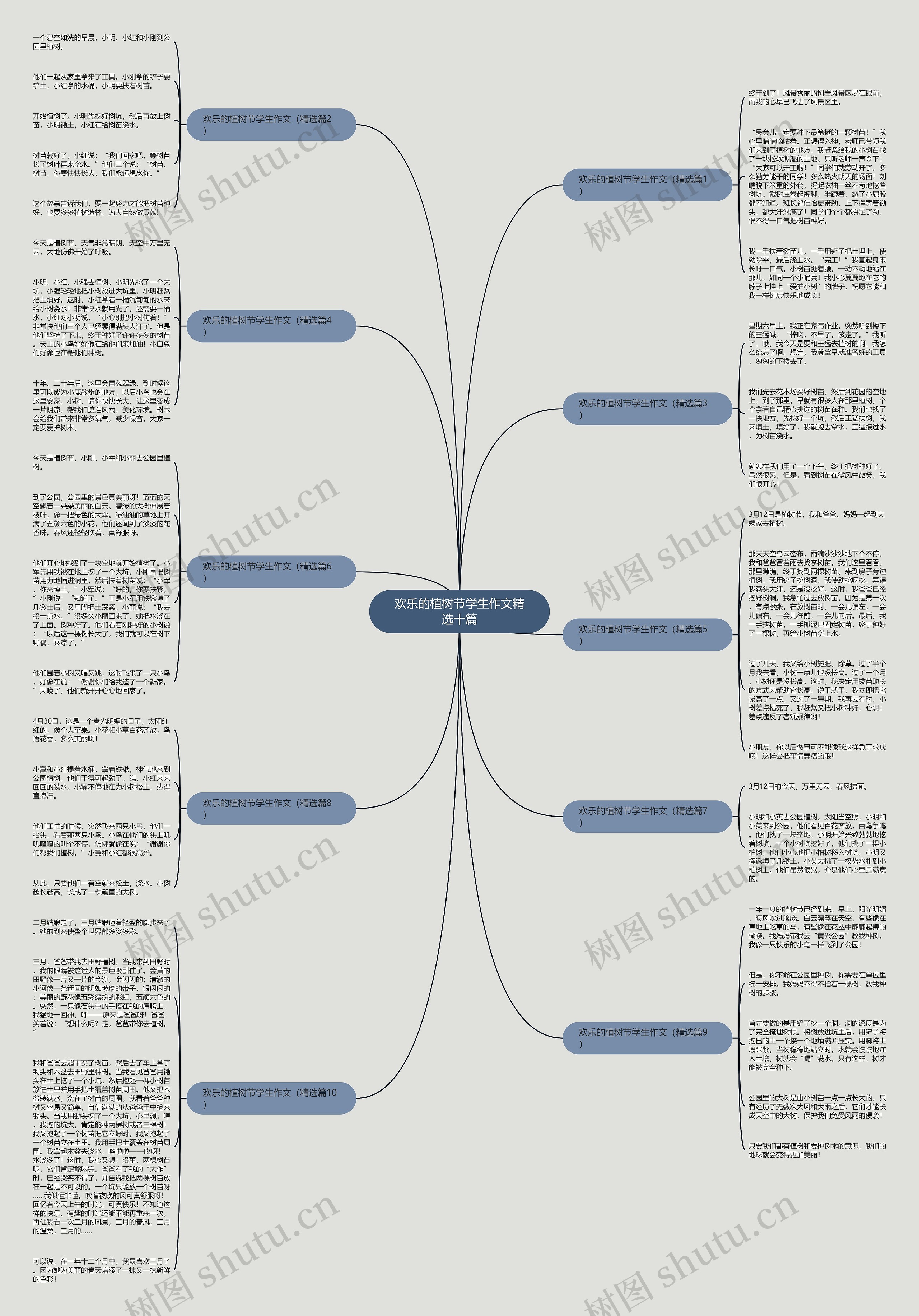 欢乐的植树节学生作文精选十篇思维导图