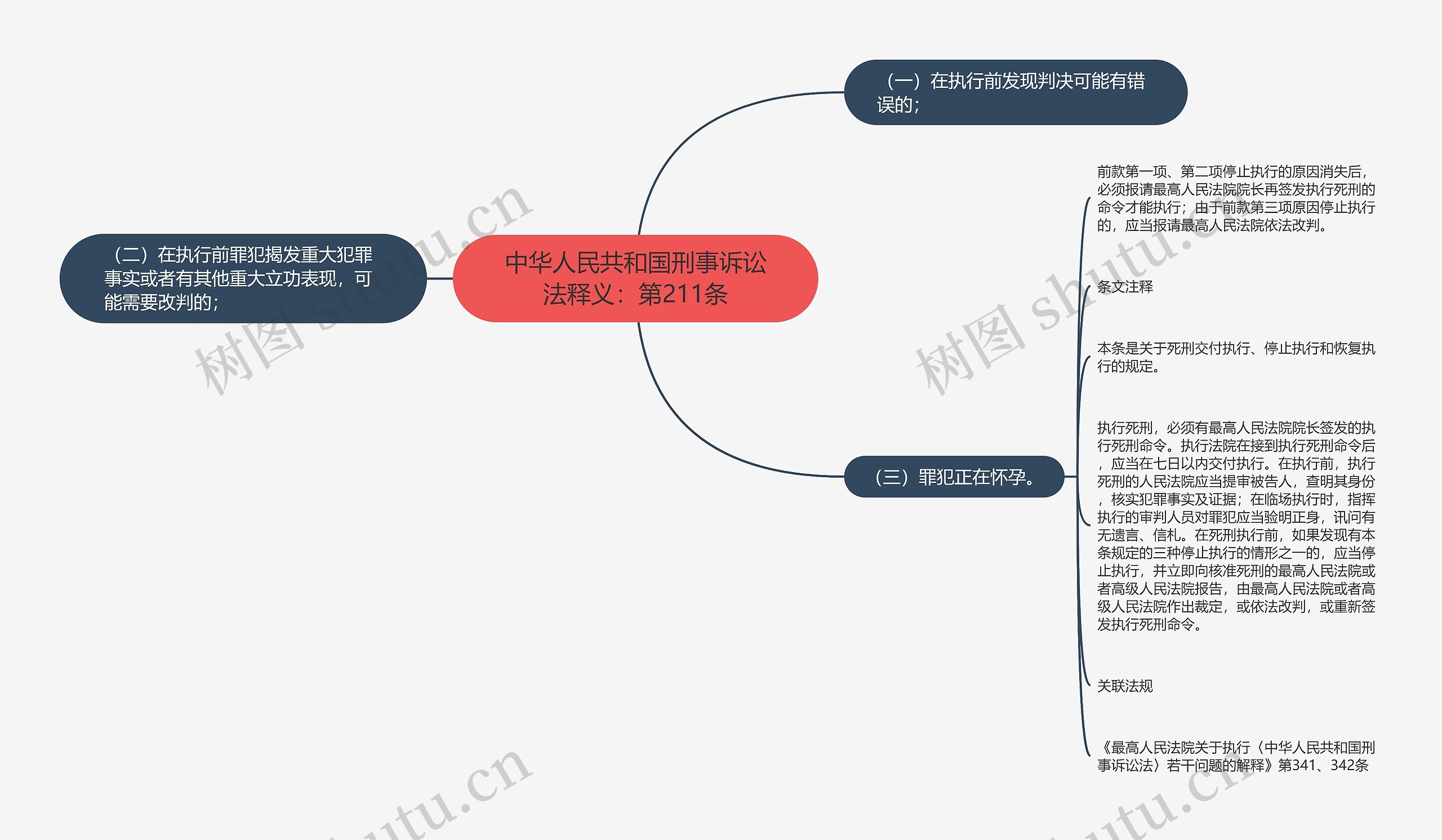 中华人民共和国刑事诉讼法释义：第211条思维导图