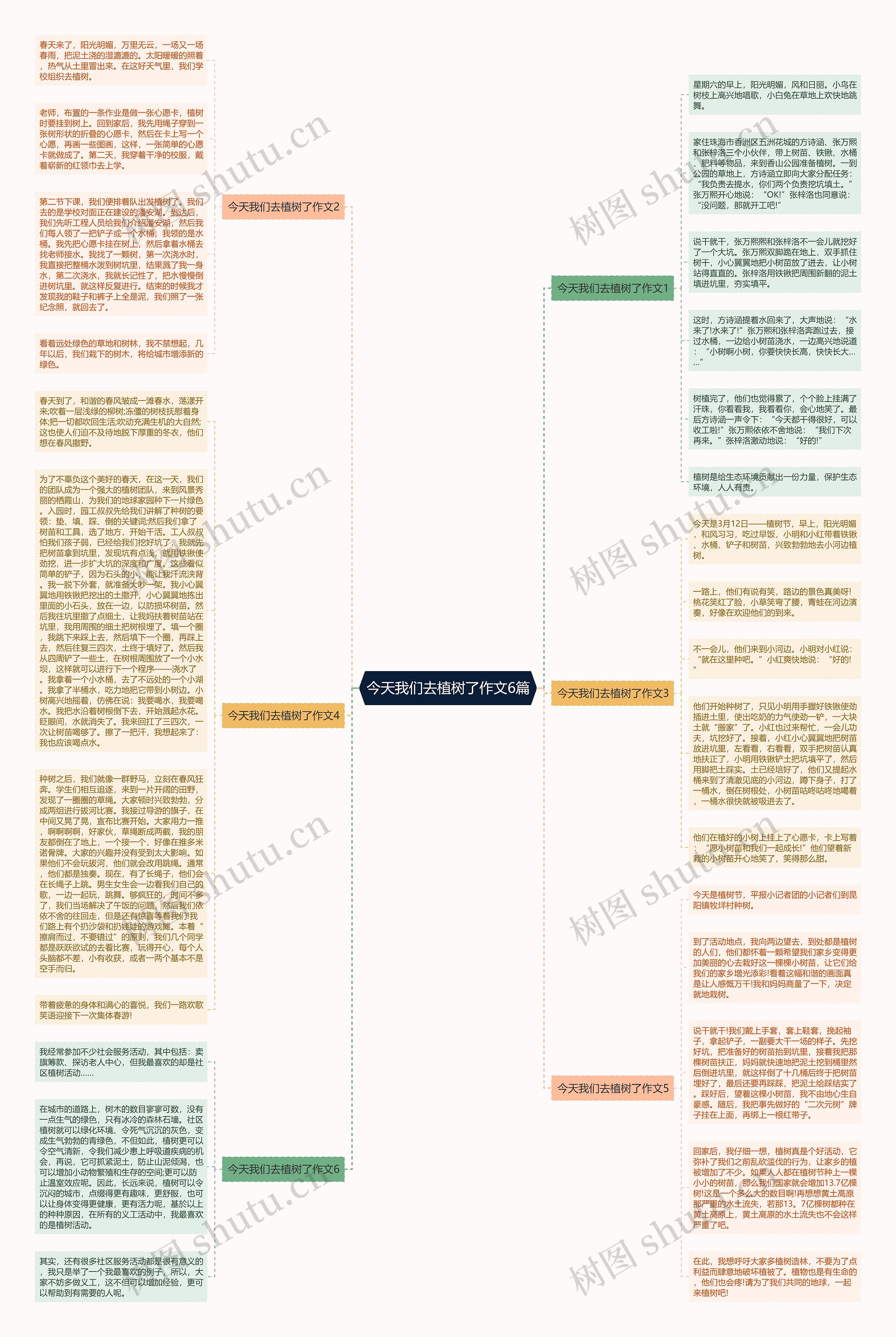 今天我们去植树了作文6篇思维导图