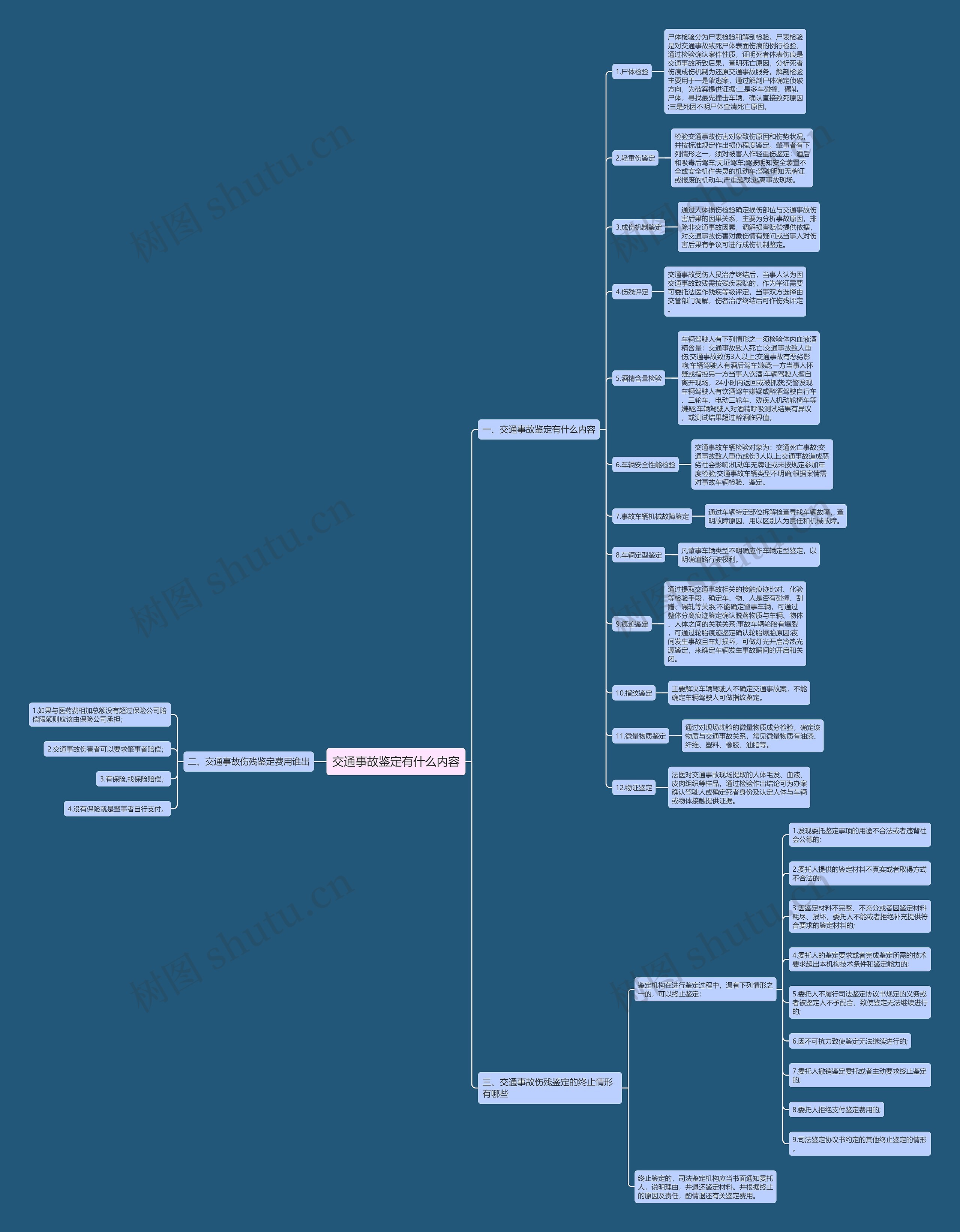 交通事故鉴定有什么内容思维导图