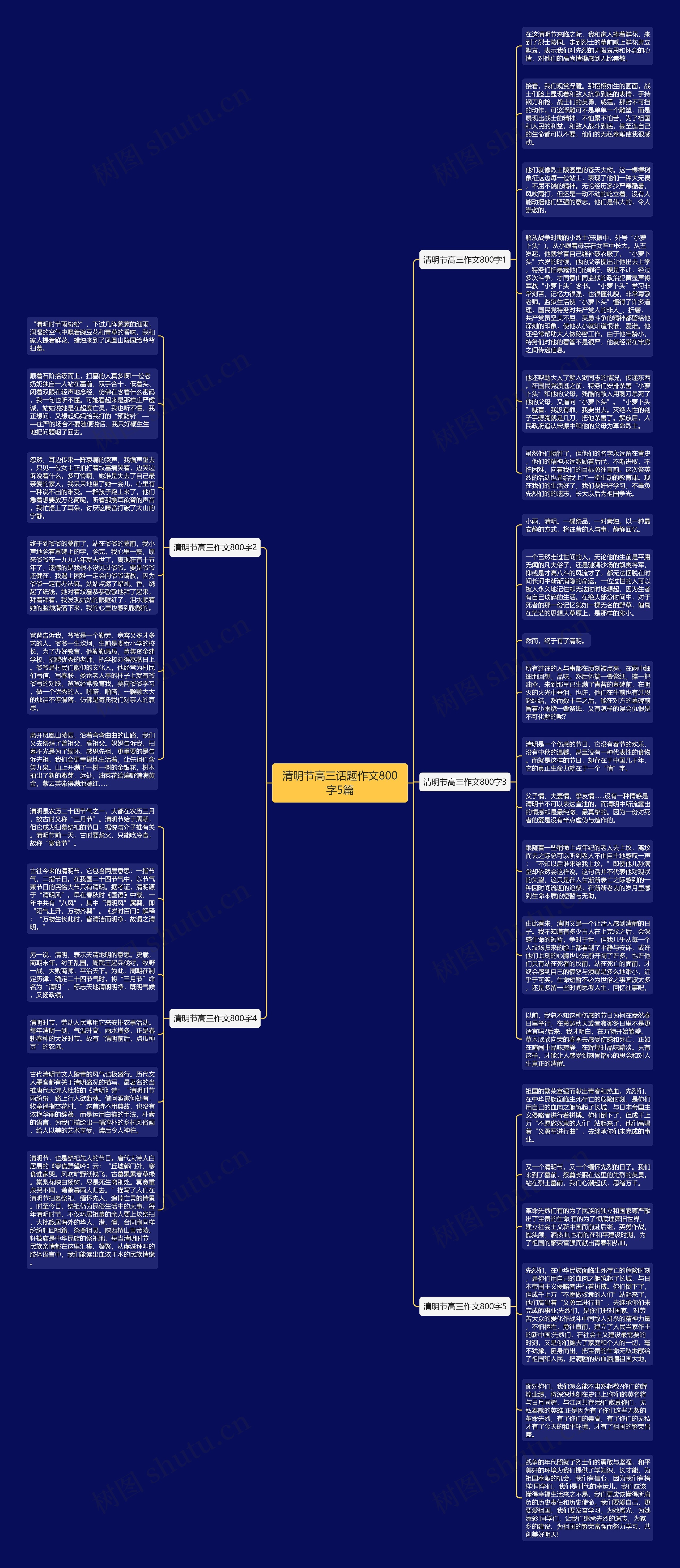 清明节高三话题作文800字5篇思维导图