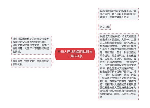 中华人民共和国刑法释义：第324条