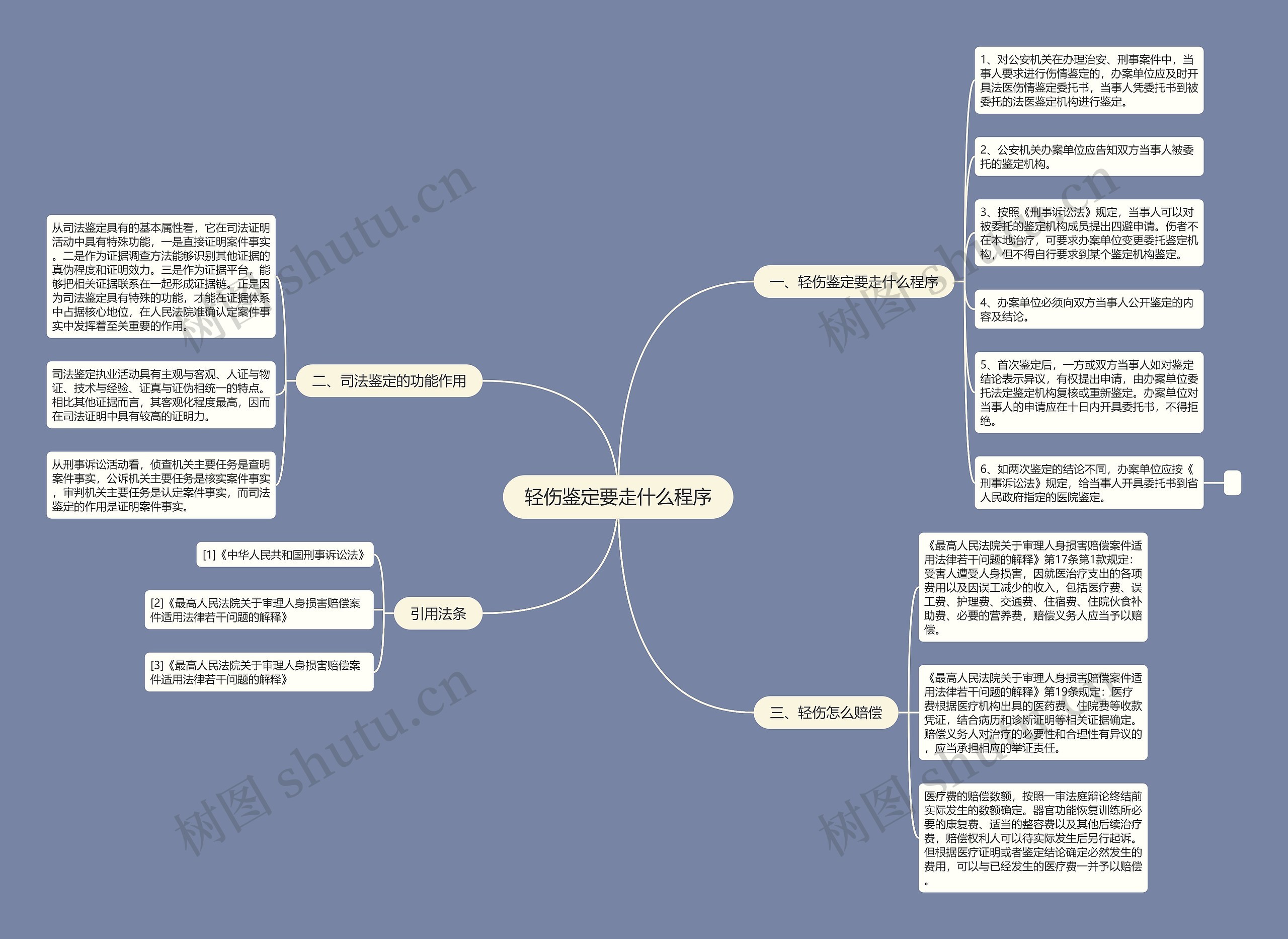 轻伤鉴定要走什么程序思维导图