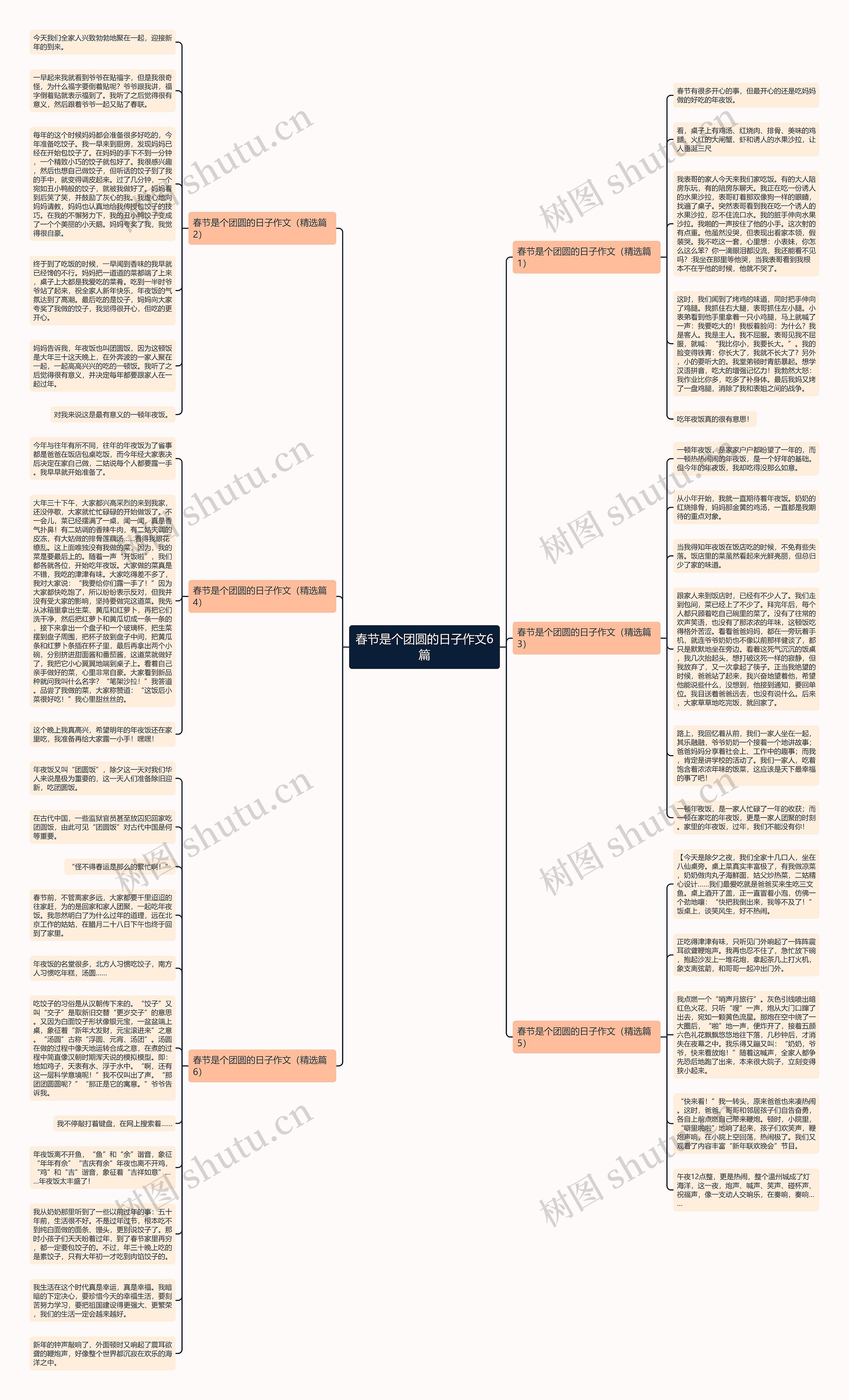 春节是个团圆的日子作文6篇思维导图