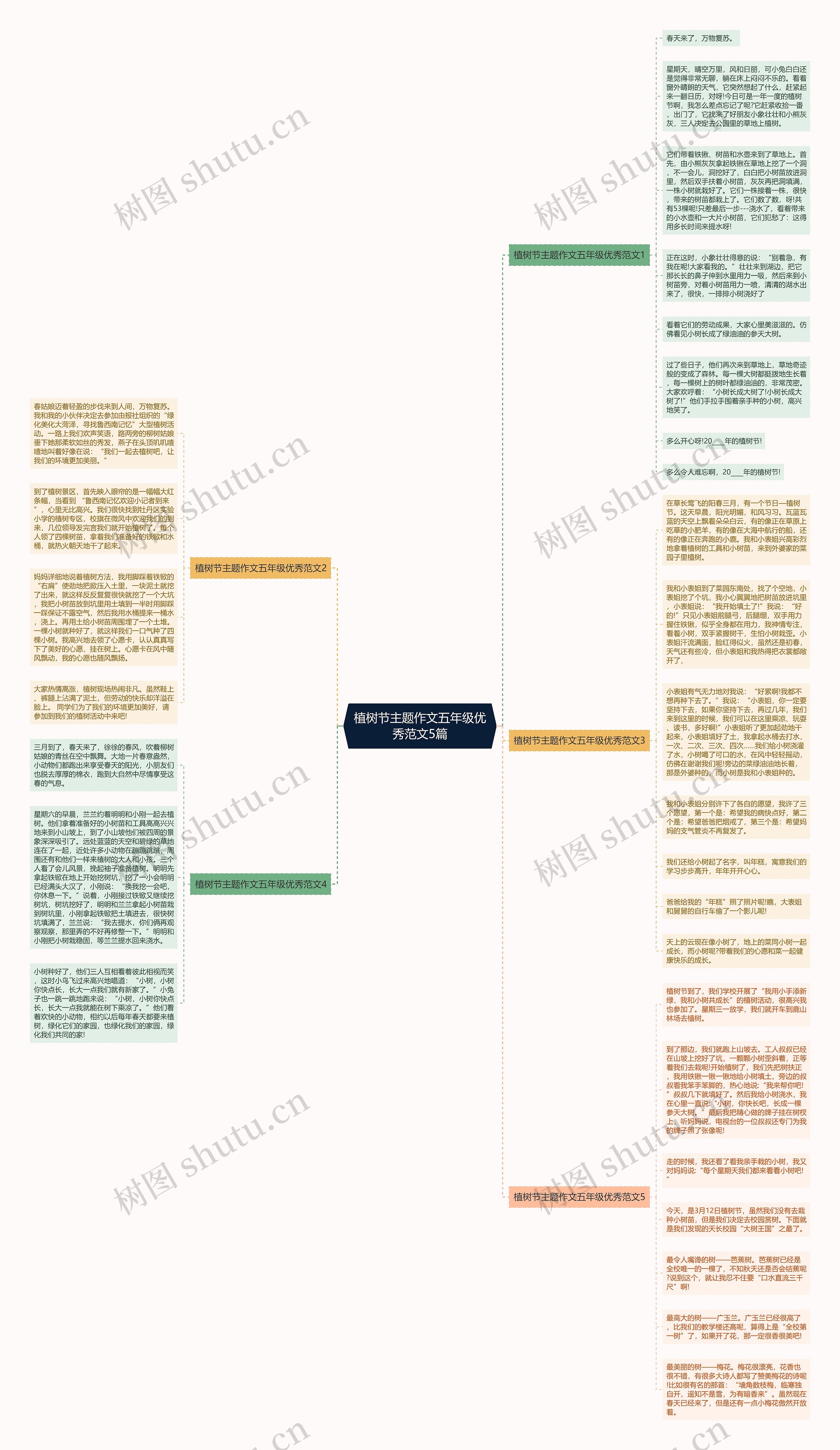 植树节主题作文五年级优秀范文5篇思维导图