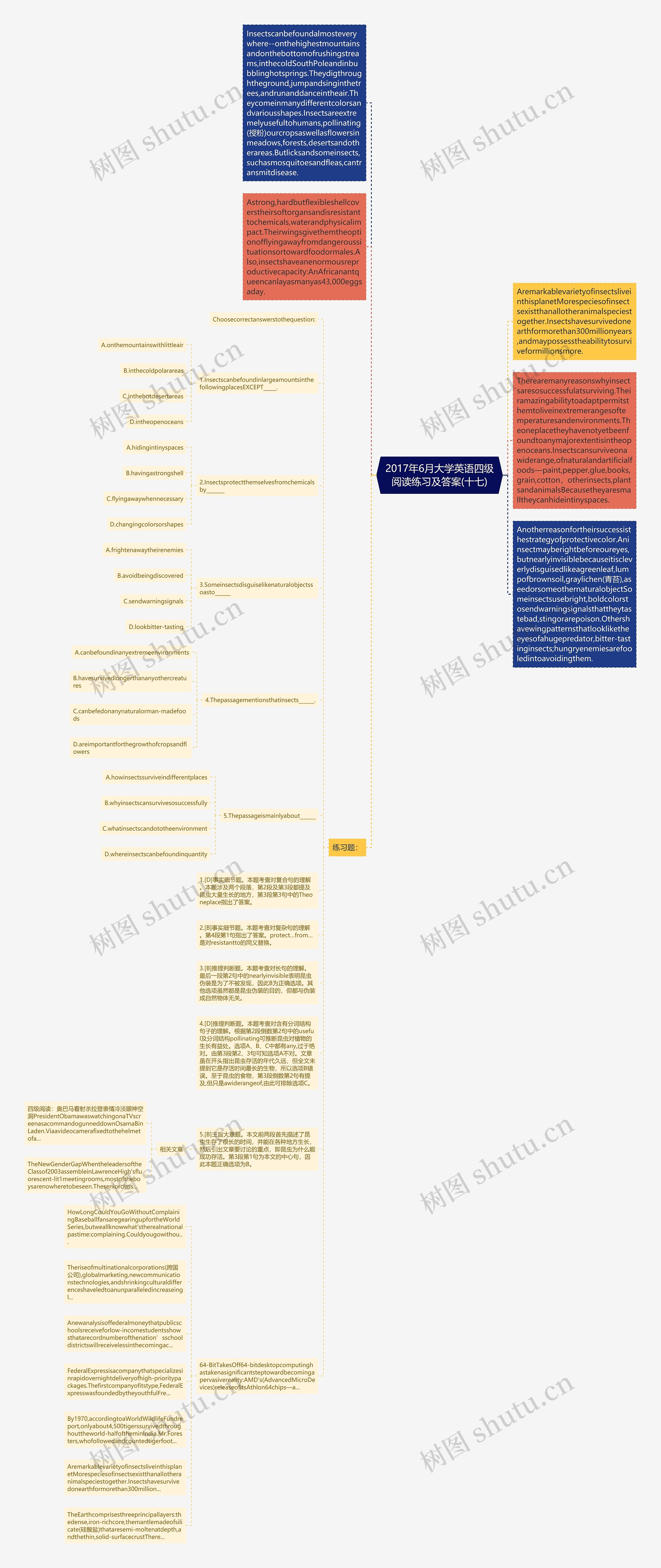 2017年6月大学英语四级阅读练习及答案(十七)思维导图