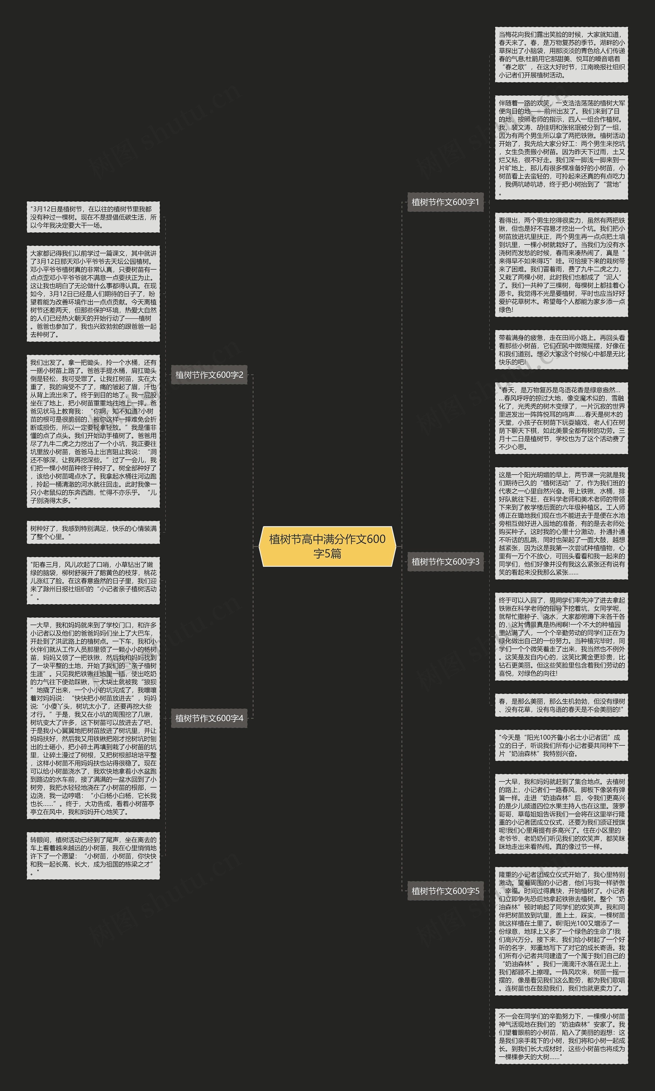 植树节高中满分作文600字5篇思维导图