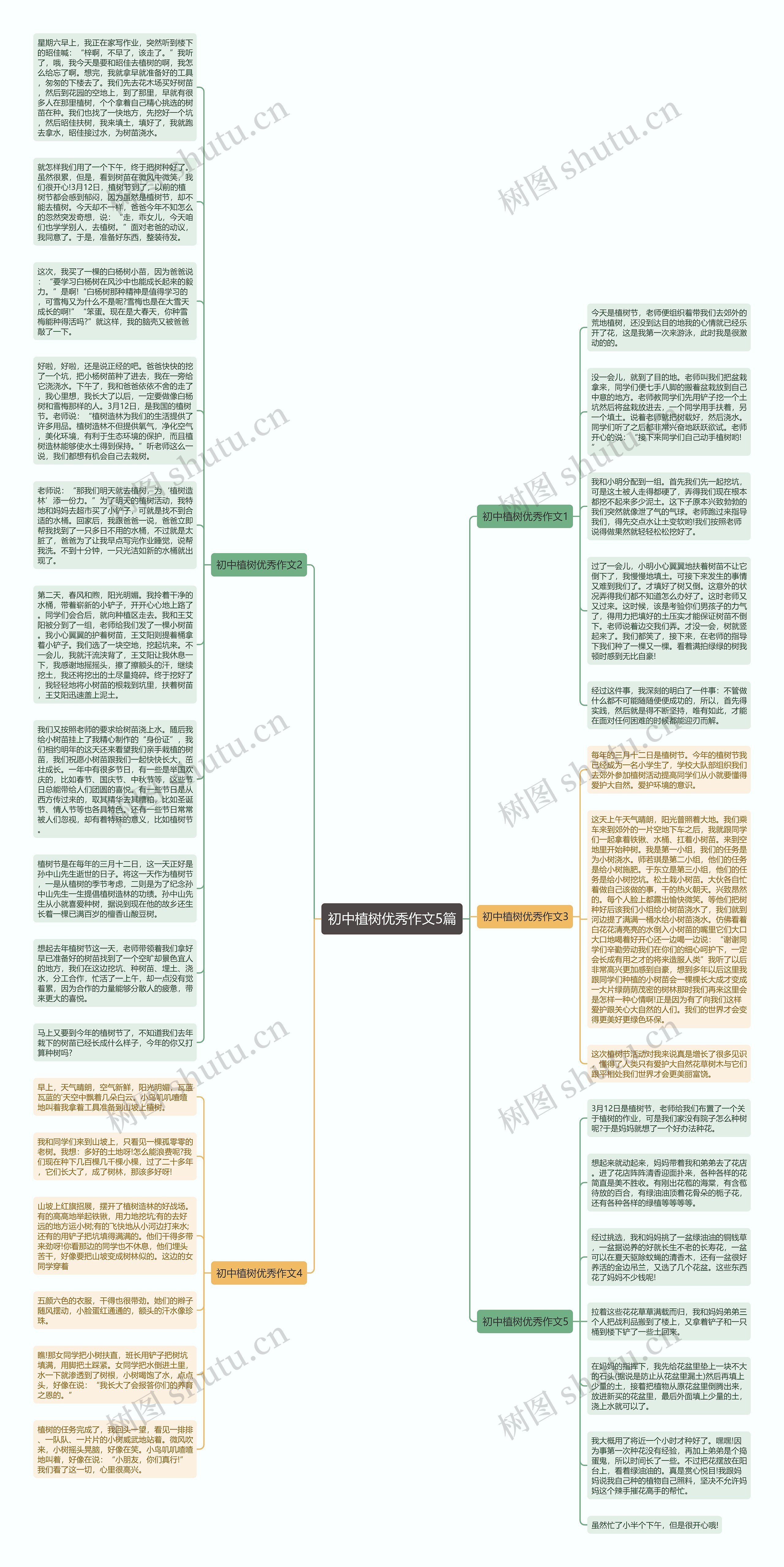 初中植树优秀作文5篇思维导图