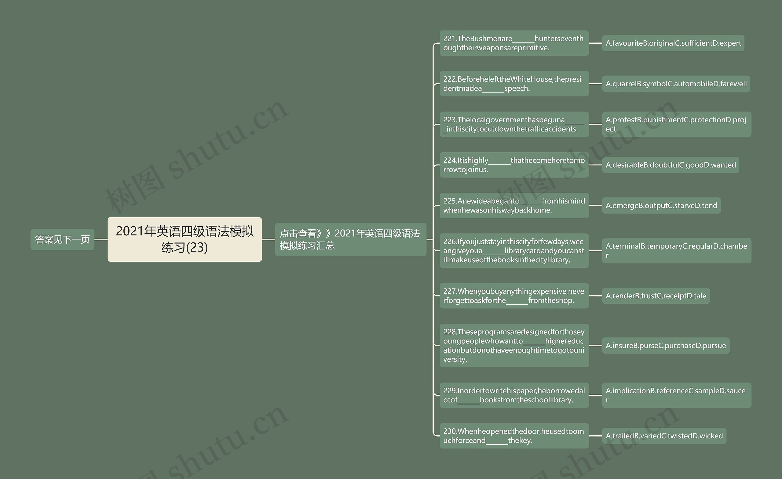 2021年英语四级语法模拟练习(23)思维导图