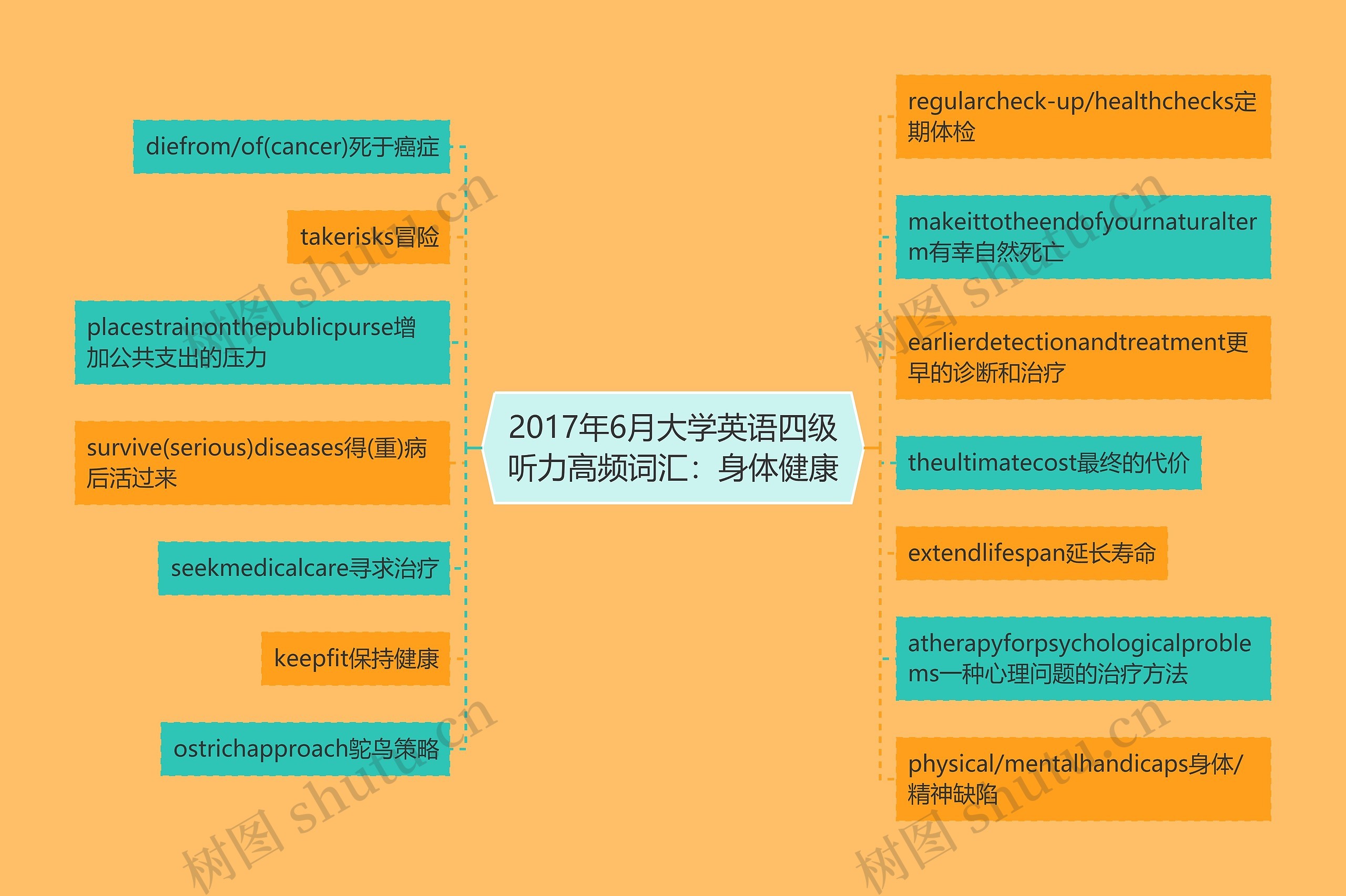 2017年6月大学英语四级听力高频词汇：身体健康思维导图