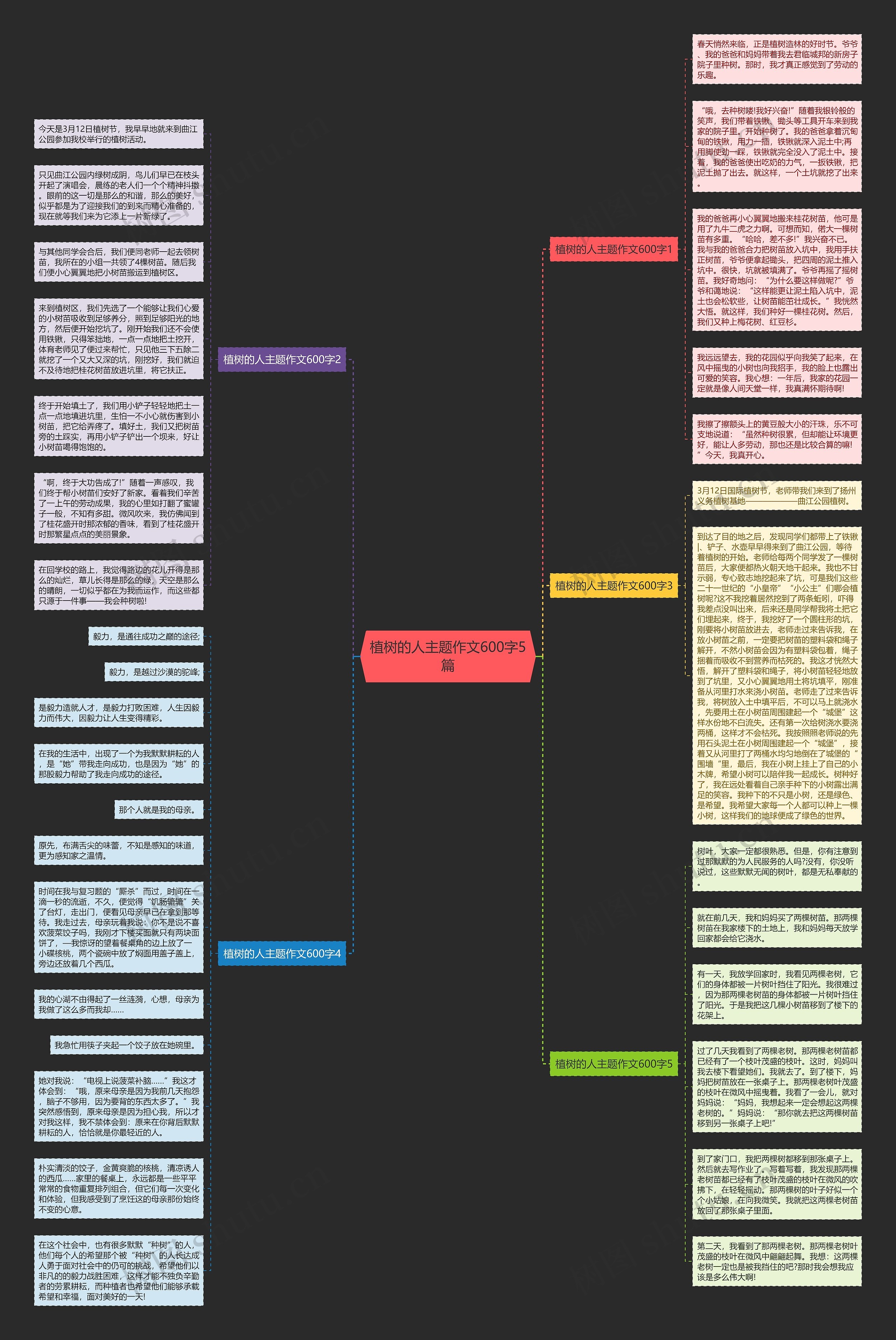 植树的人主题作文600字5篇思维导图