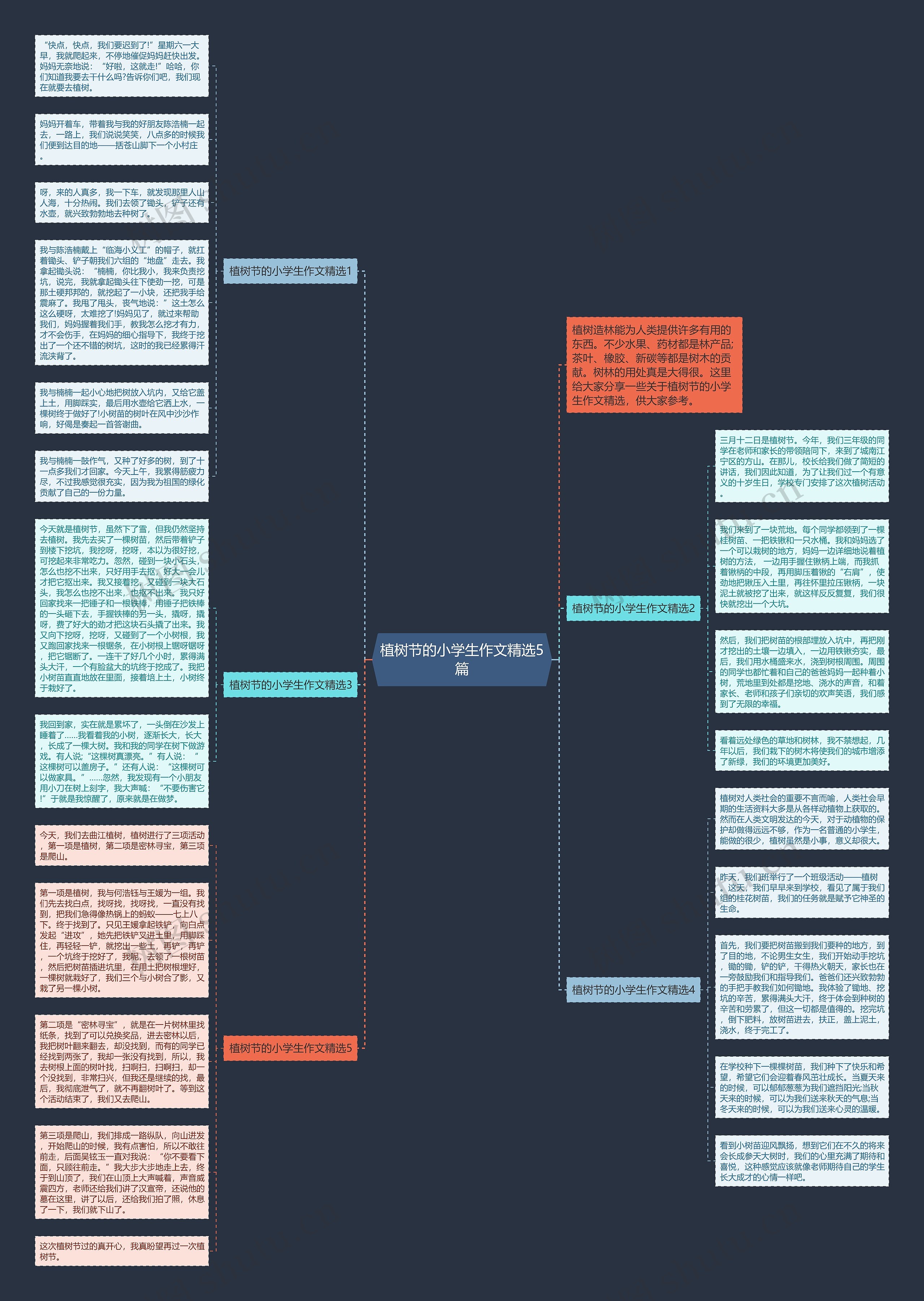 植树节的小学生作文精选5篇思维导图