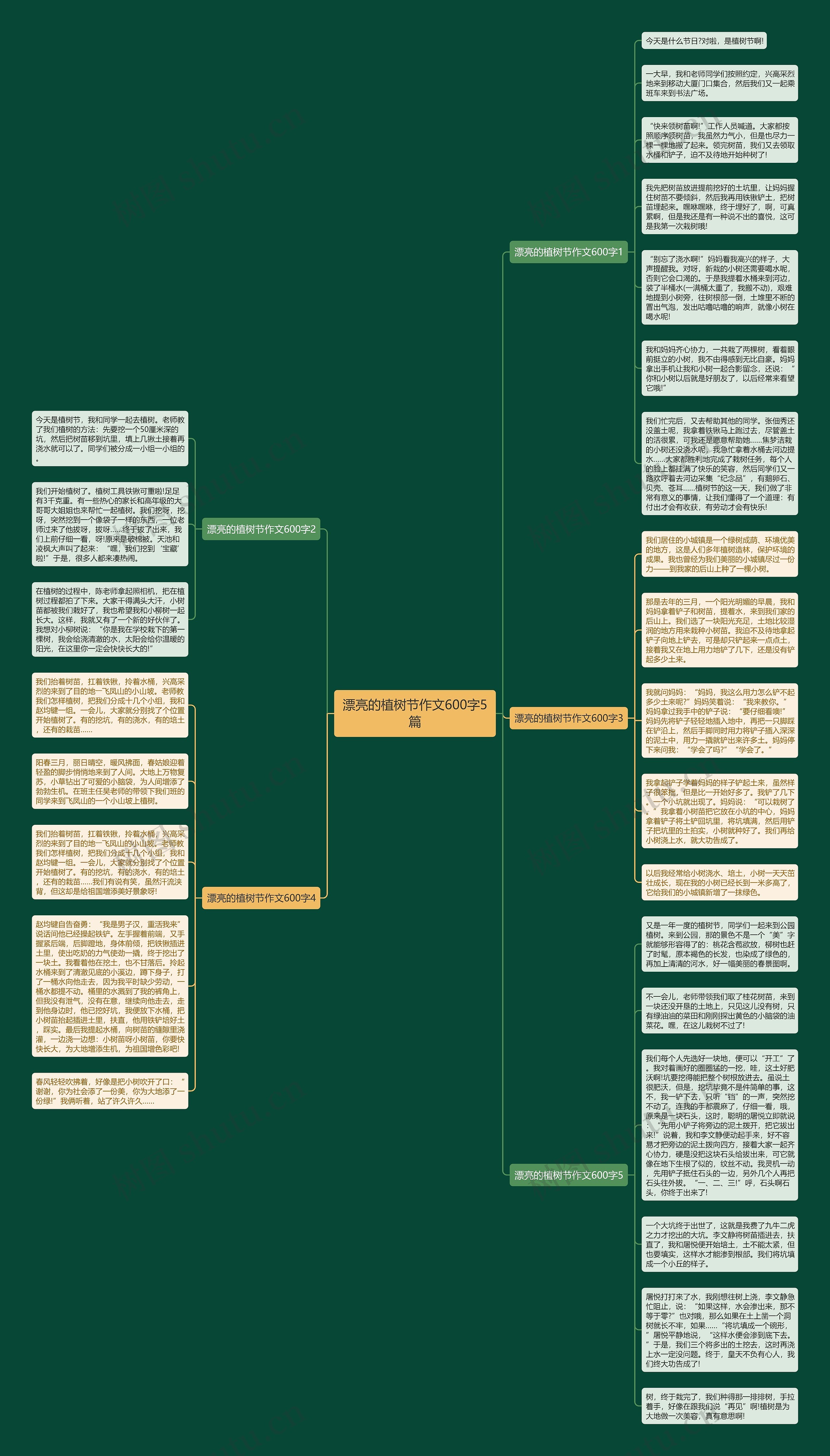 漂亮的植树节作文600字5篇思维导图