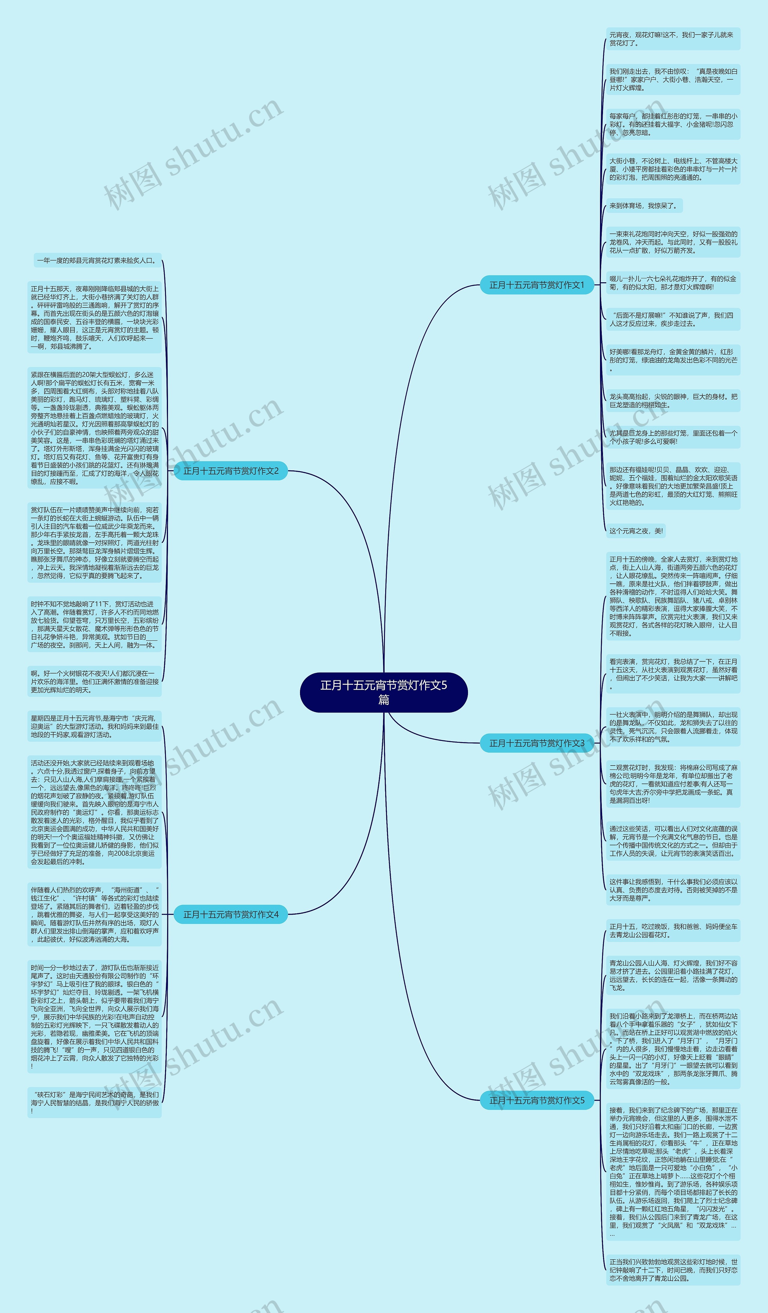 正月十五元宵节赏灯作文5篇思维导图