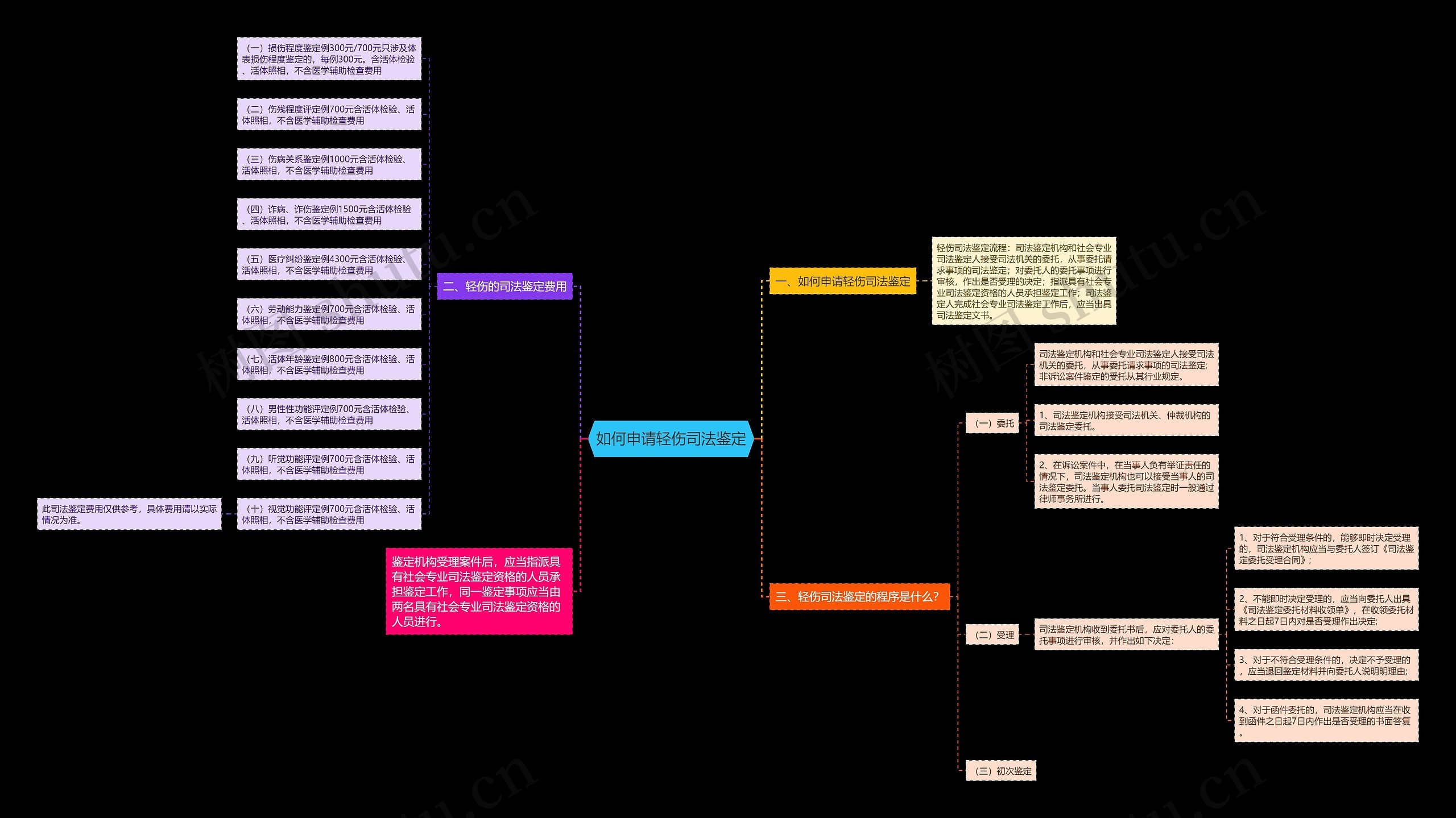 如何申请轻伤司法鉴定思维导图