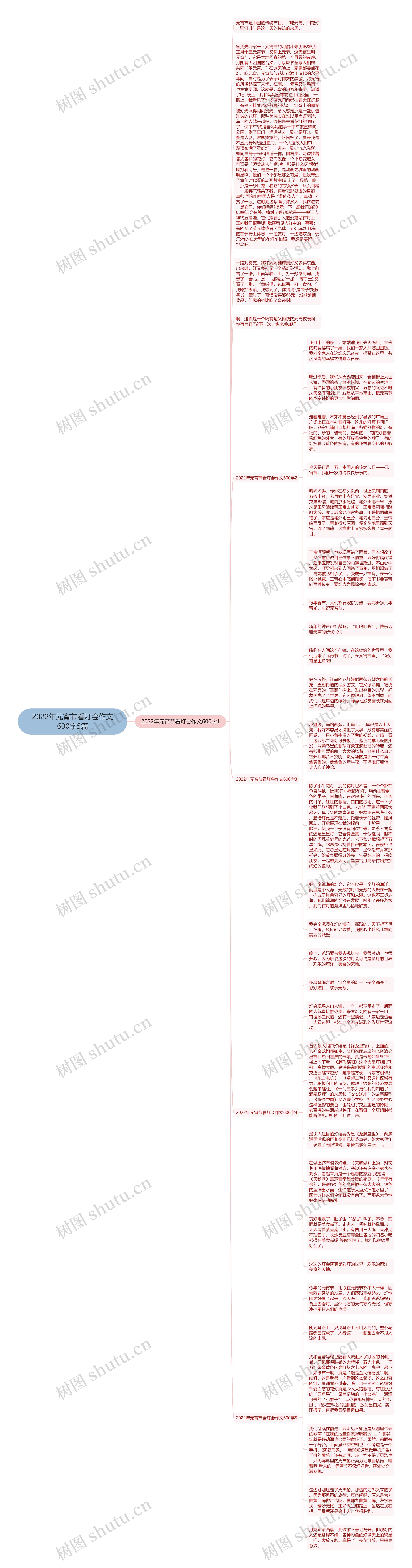 2022年元宵节看灯会作文600字5篇思维导图