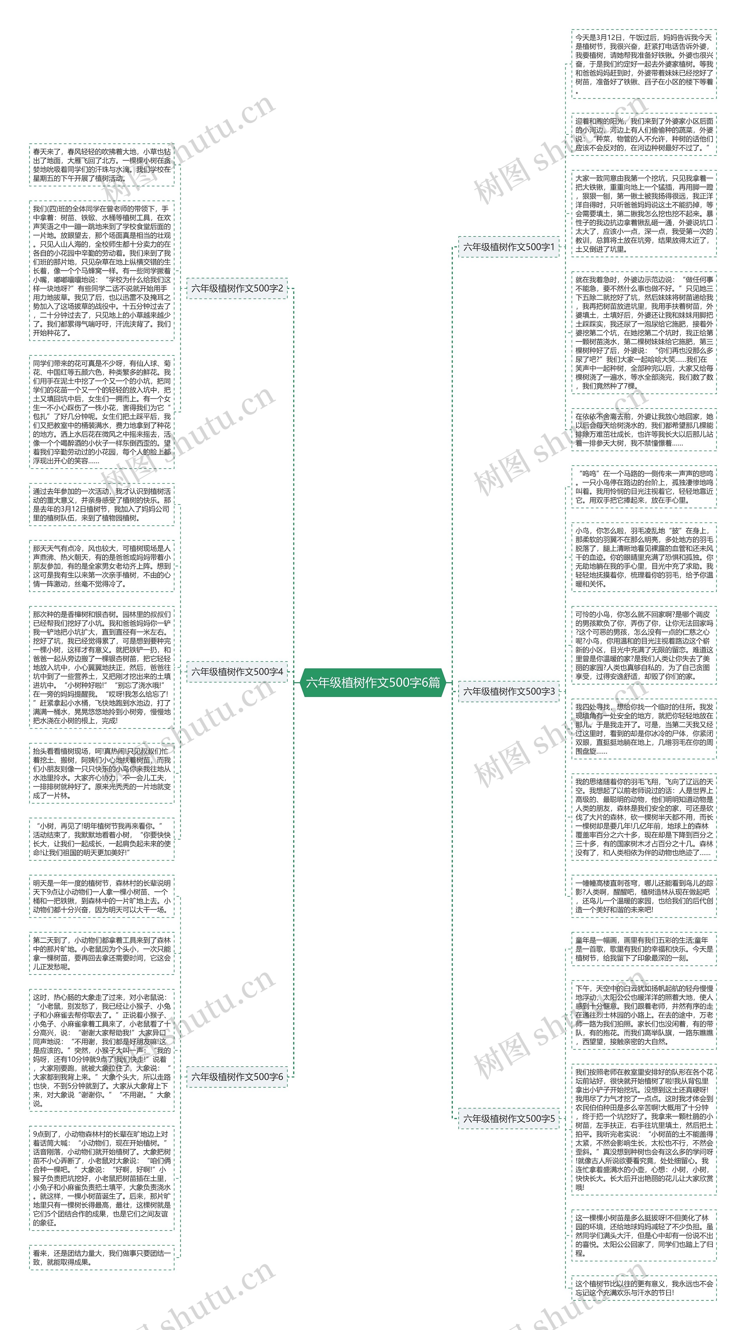 六年级植树作文500字6篇思维导图