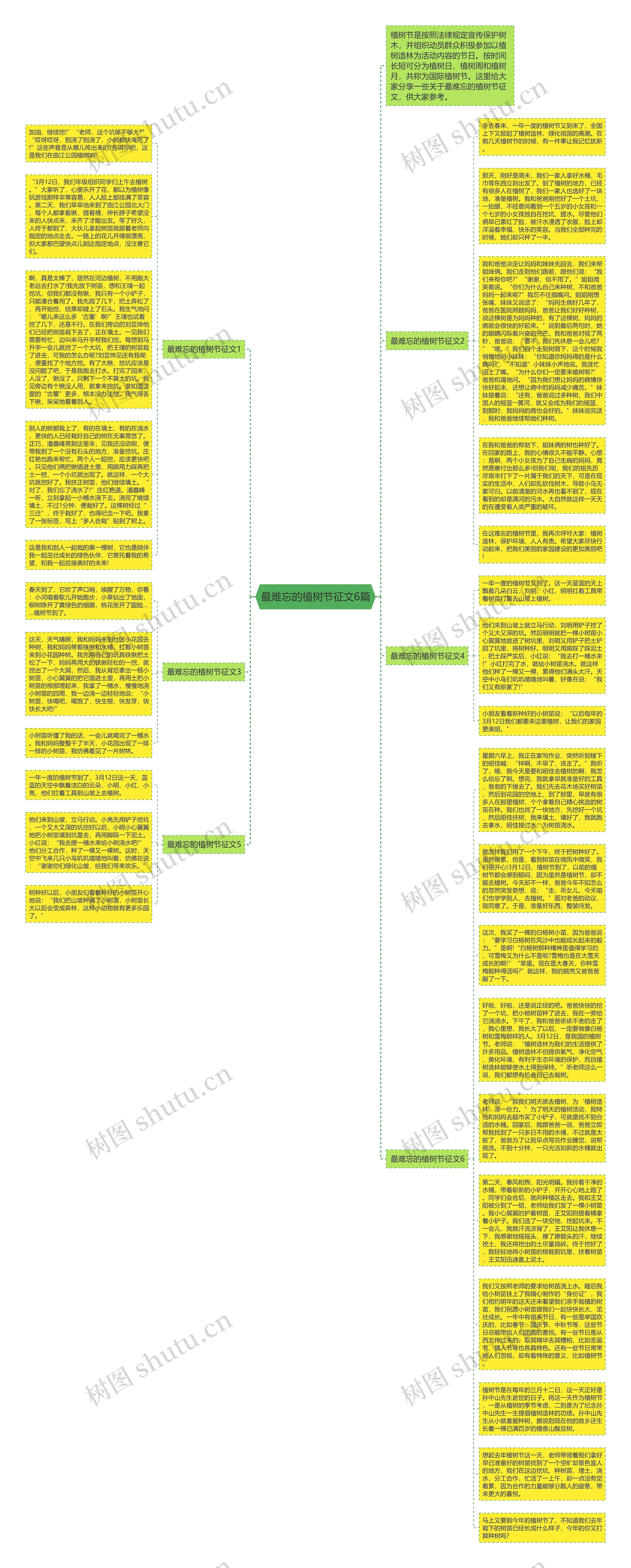最难忘的植树节征文6篇思维导图