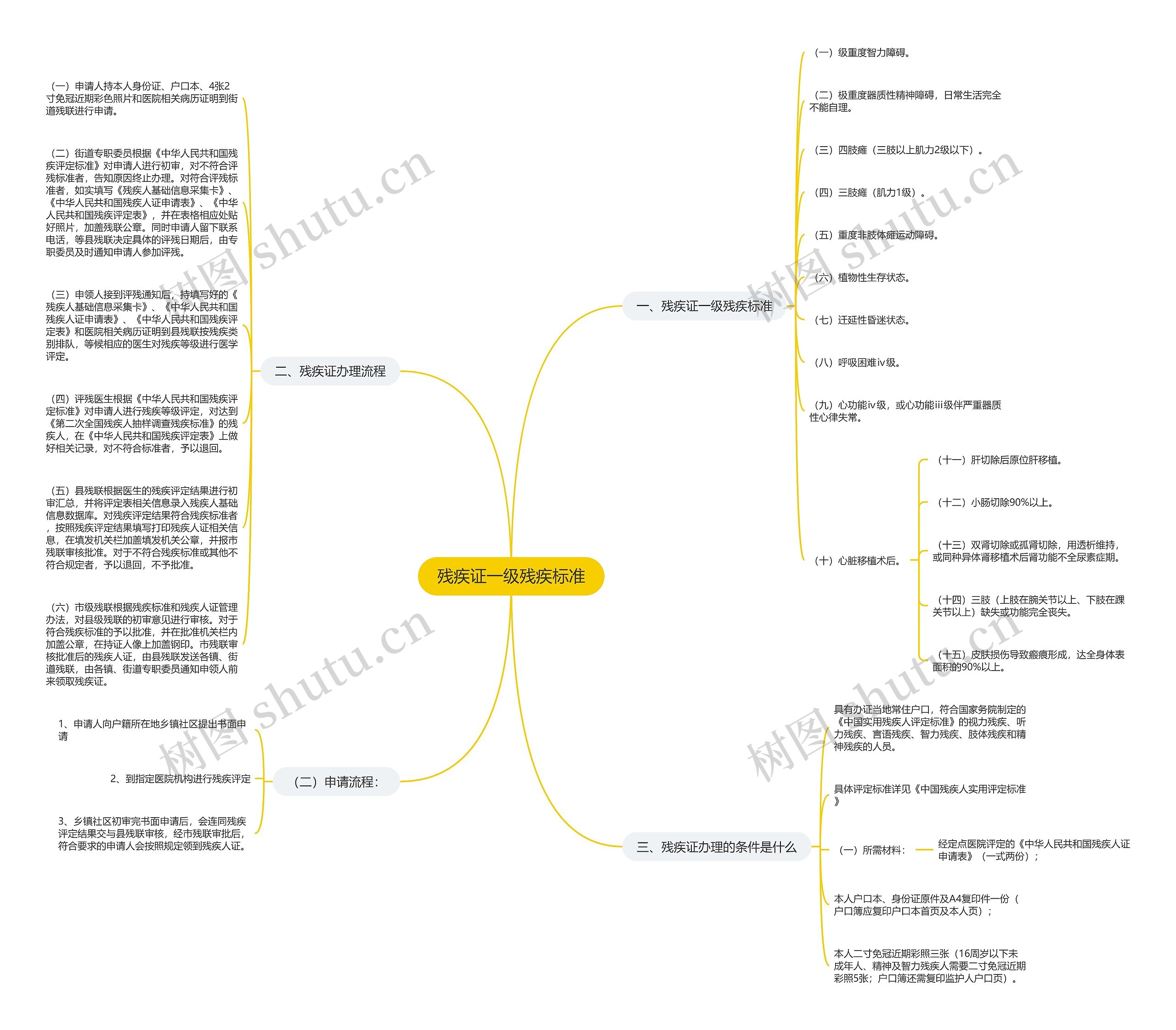 残疾证一级残疾标准思维导图