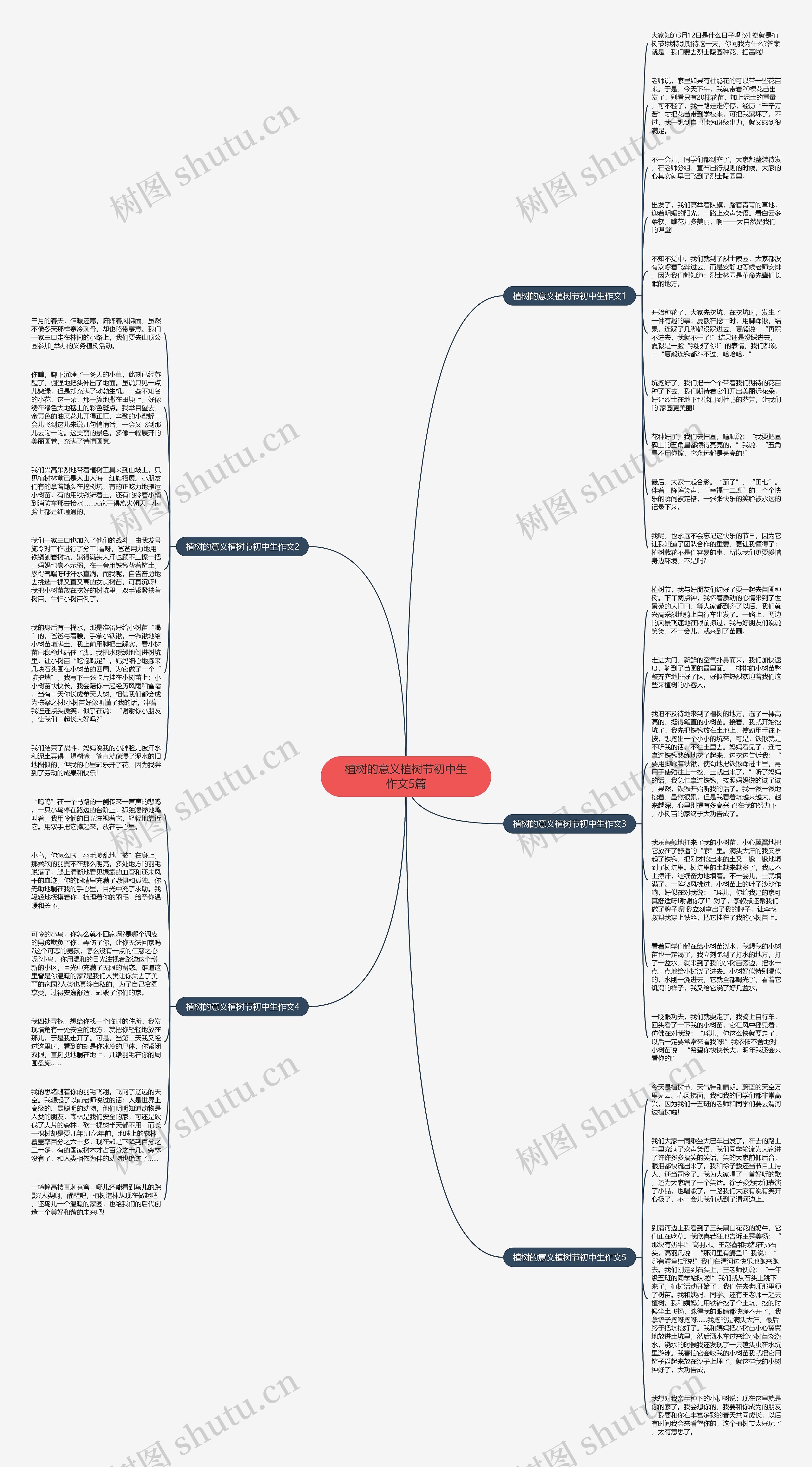 植树的意义植树节初中生作文5篇思维导图