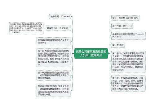 保险公司董事及高级管理人员审计管理办法