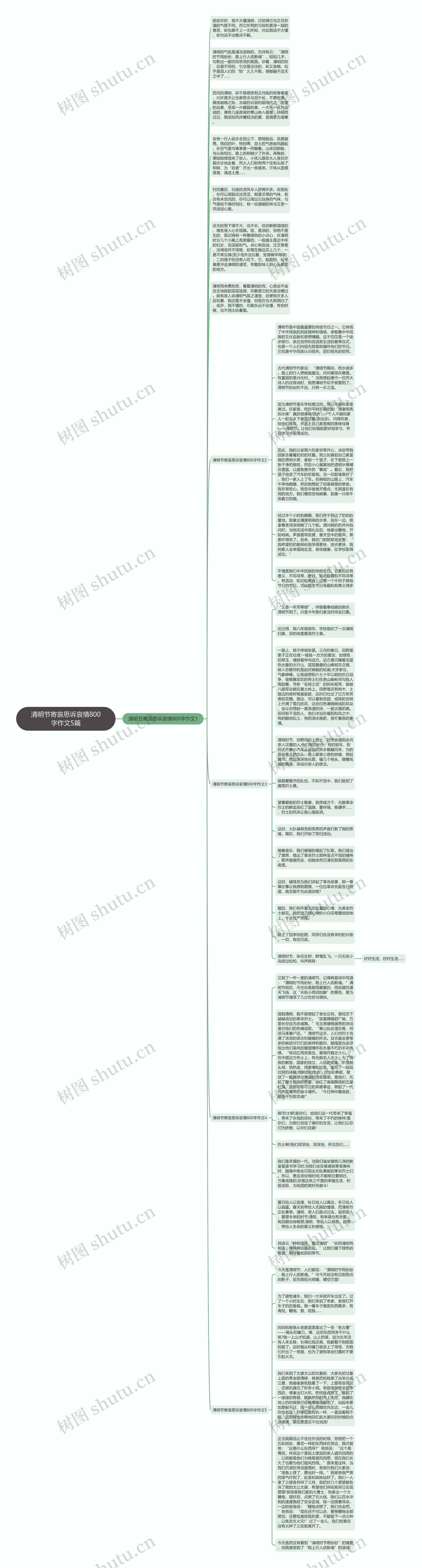 清明节寄哀思诉哀情800字作文5篇思维导图