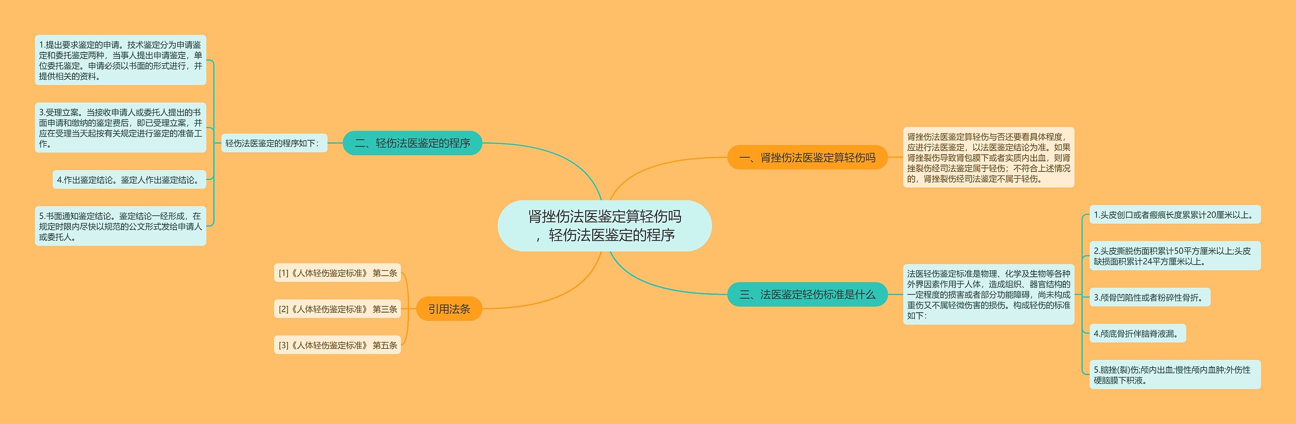 肾挫伤法医鉴定算轻伤吗，轻伤法医鉴定的程序思维导图