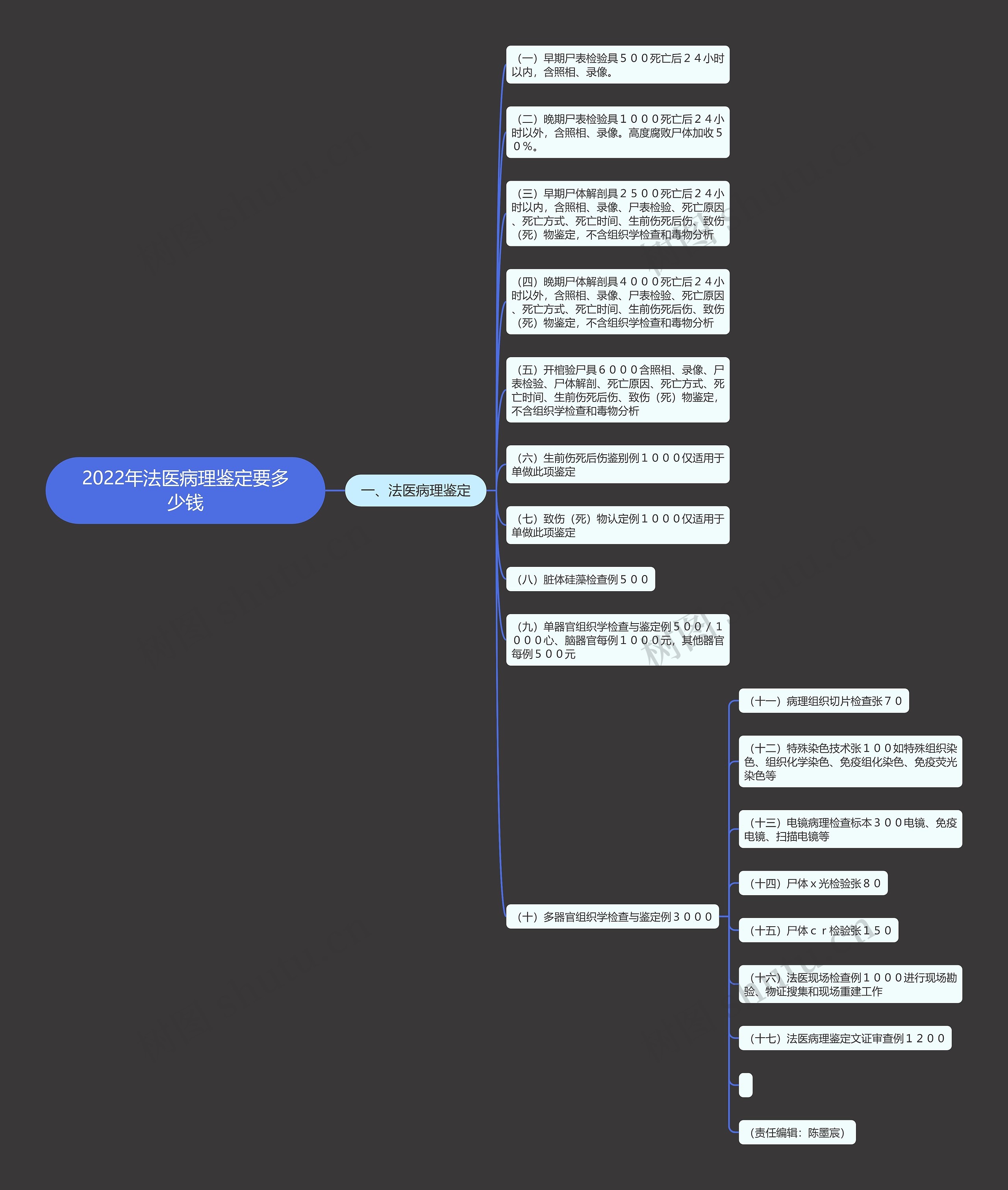 2022年法医病理鉴定要多少钱思维导图