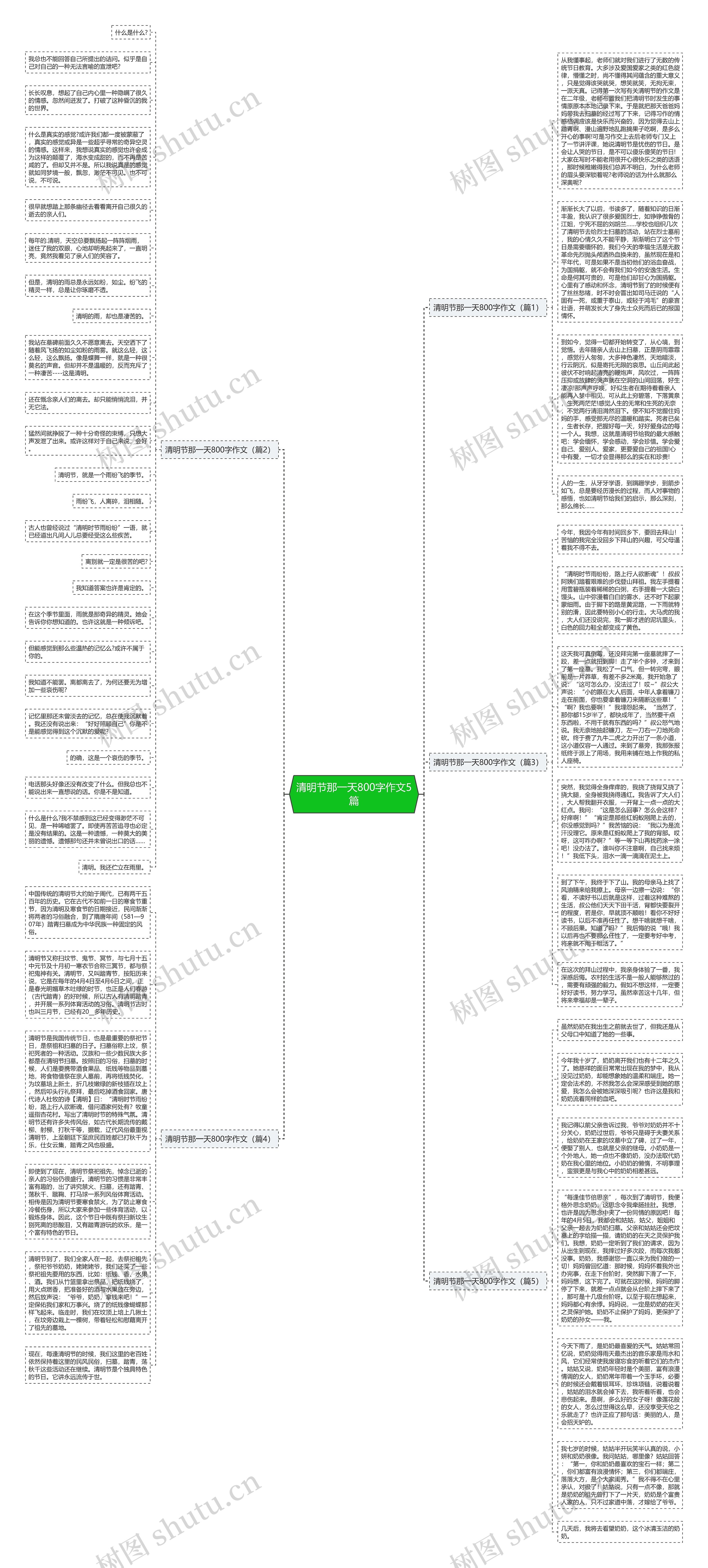 清明节那一天800字作文5篇思维导图