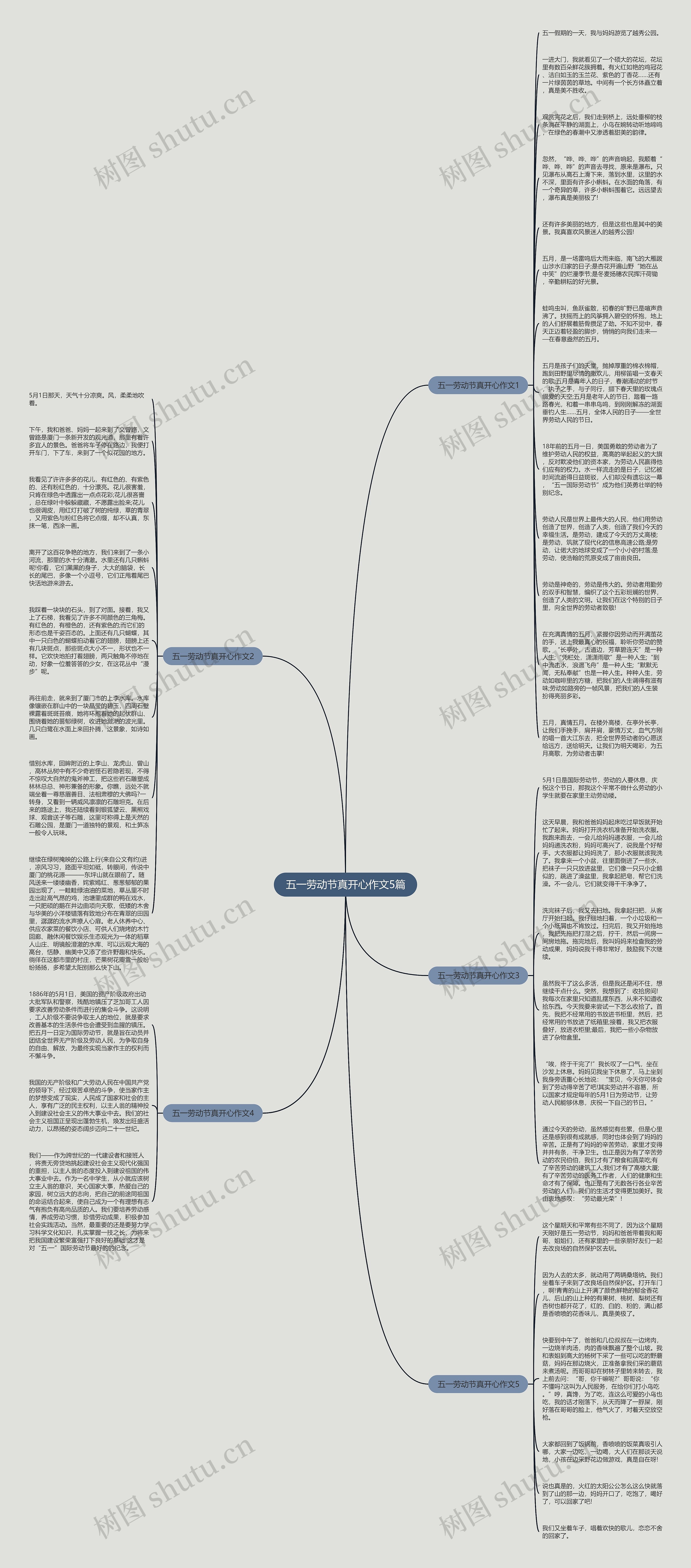 五一劳动节真开心作文5篇思维导图