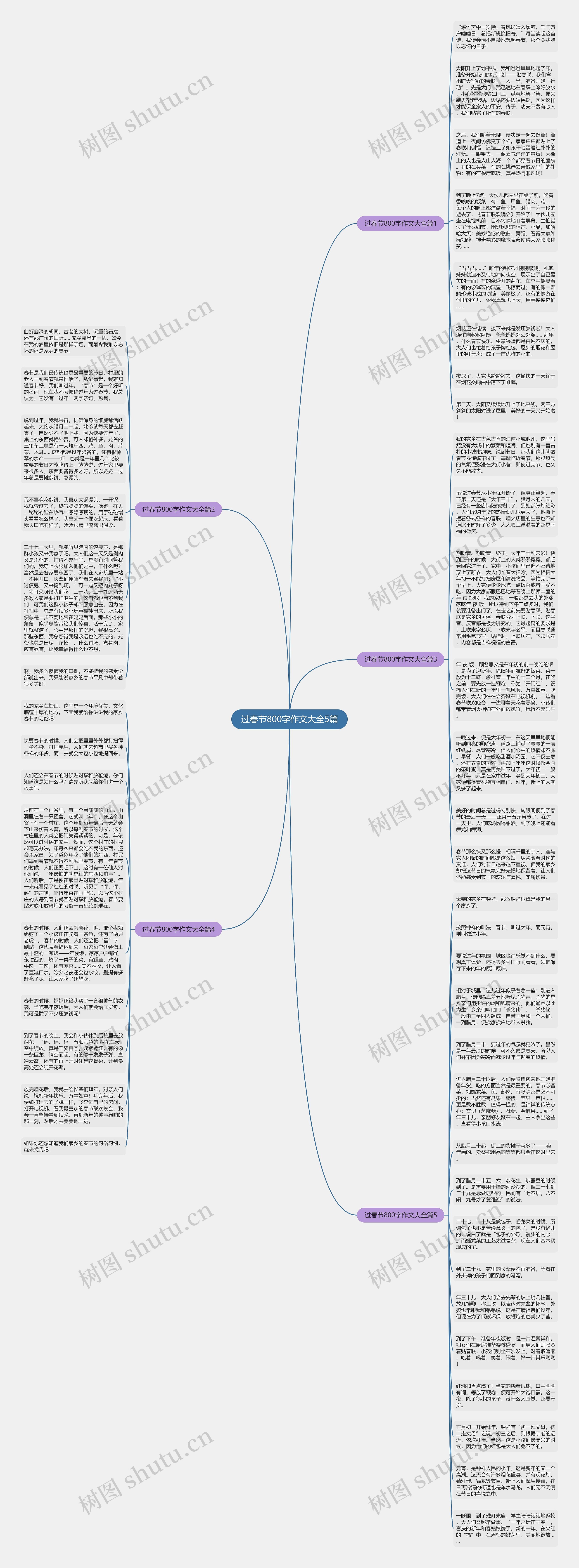 过春节800字作文大全5篇思维导图