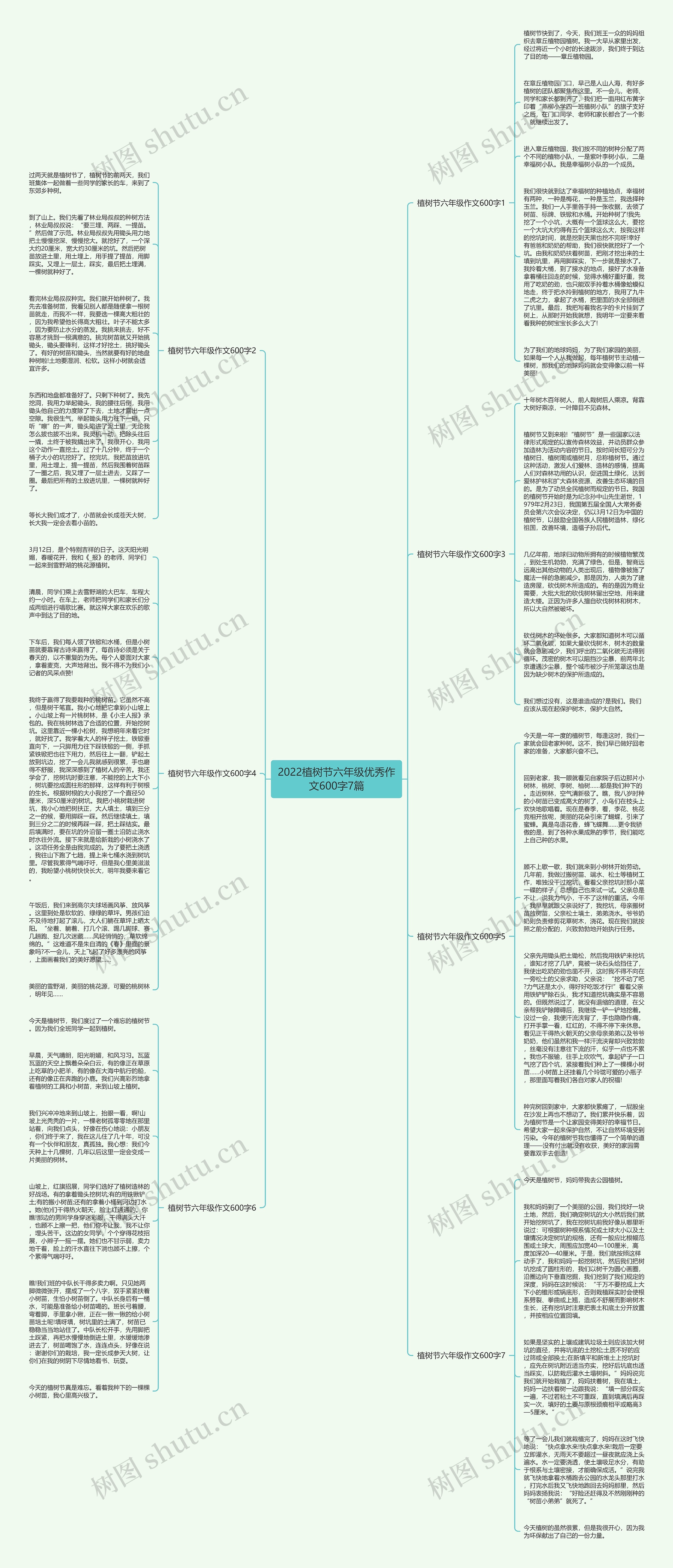 2022植树节六年级优秀作文600字7篇思维导图