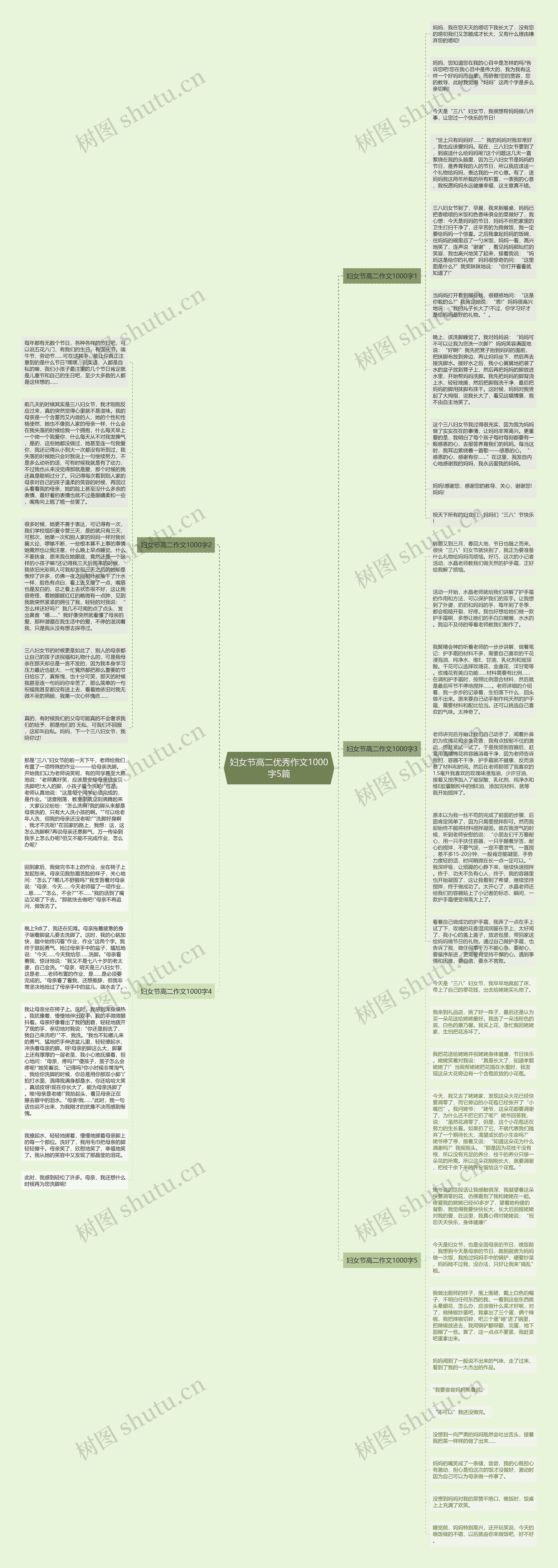 妇女节高二优秀作文1000字5篇思维导图
