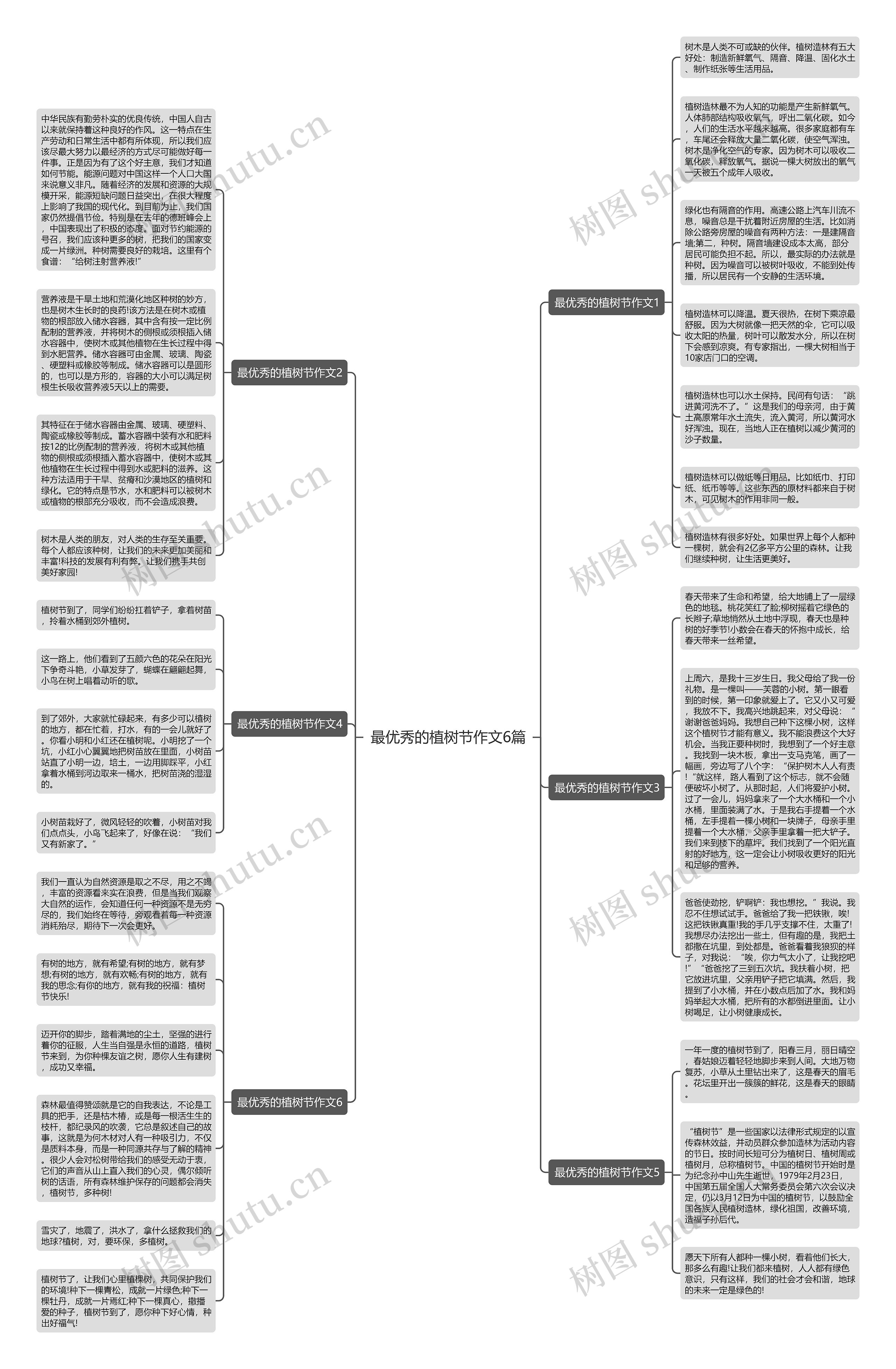 最优秀的植树节作文6篇思维导图